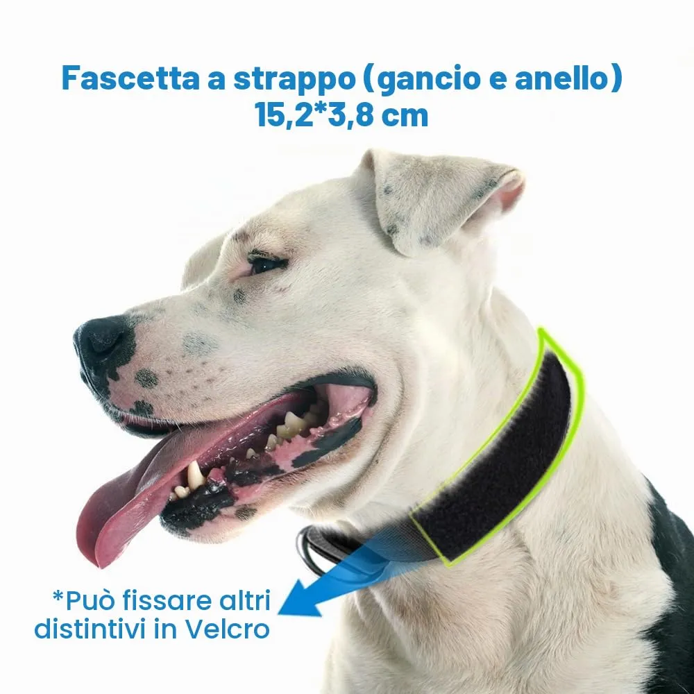 TSPRO Collare Tattico per Cani Grandi e Molto Grandi con Toppe Rimovibili, Taglia L-XL, Verde - immagine 3