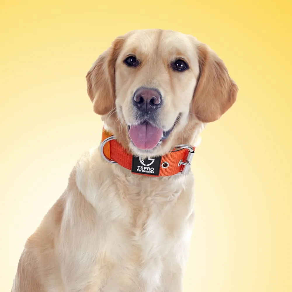 TSPRO Collare Tattico per Cane con Fodera Morbida, Taglia M, Arancione - immagine 6