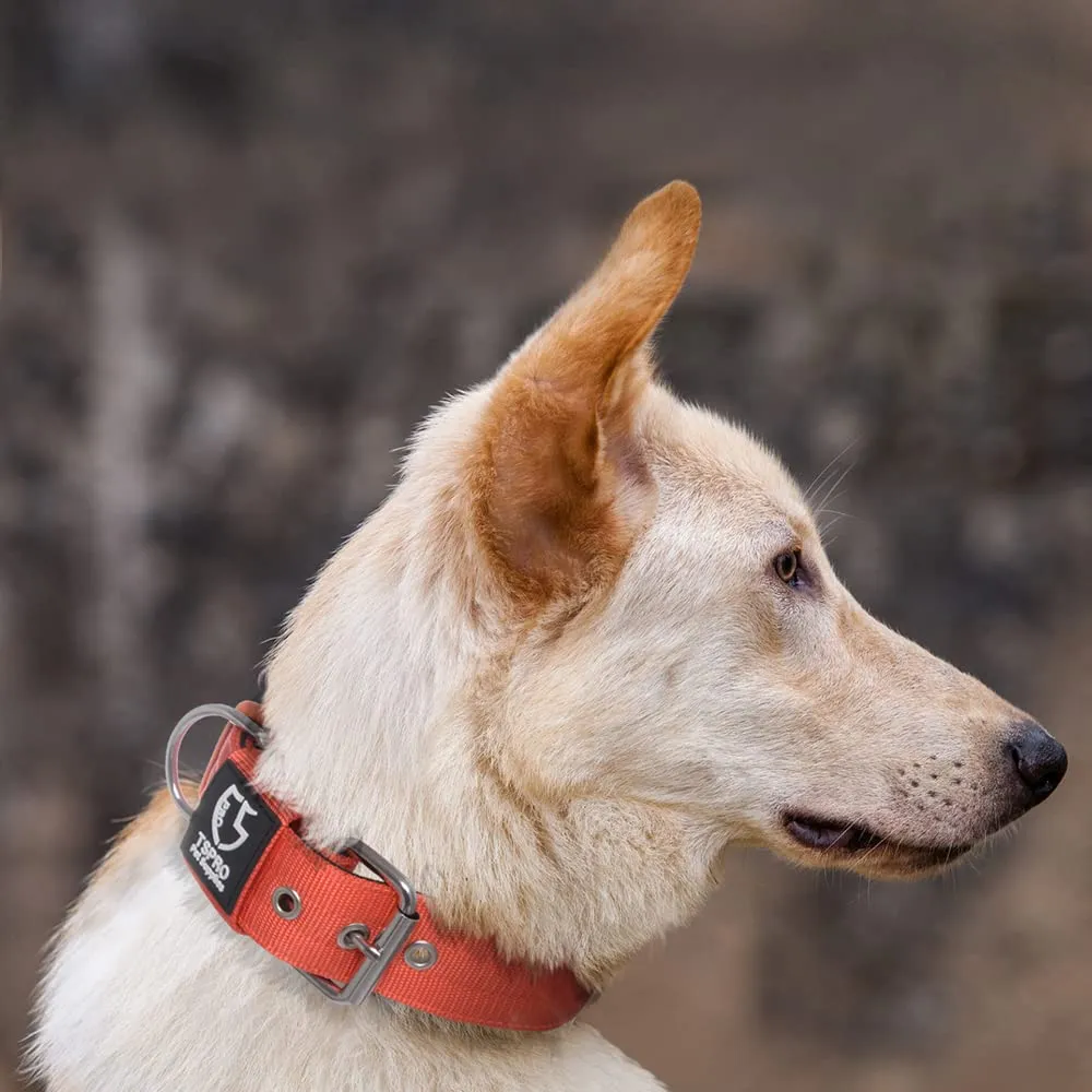 TSPRO Collare Tattico per Cane con Fodera Morbida, Taglia L (48–55 cm), Arancione - immagine 6