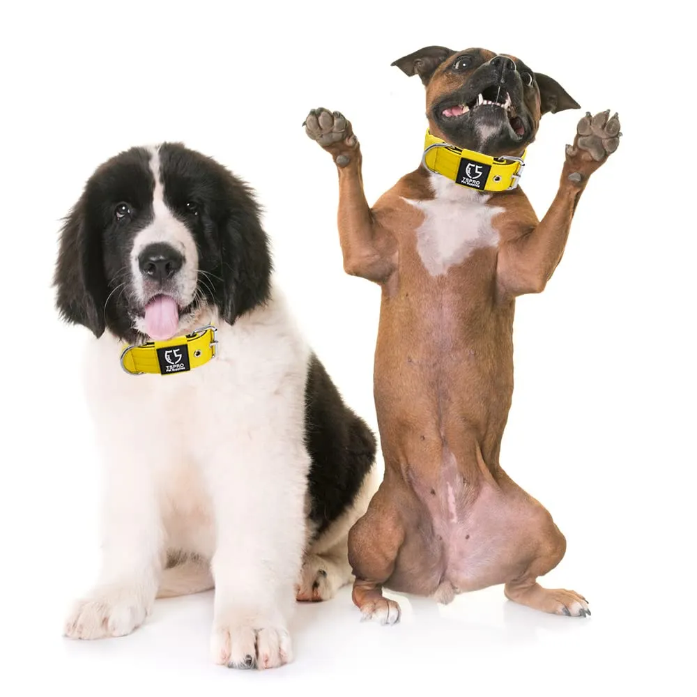 TSPRO Collare Tattico per Cane con Fodera Morbida, Giallo, Taglia M - immagine 6