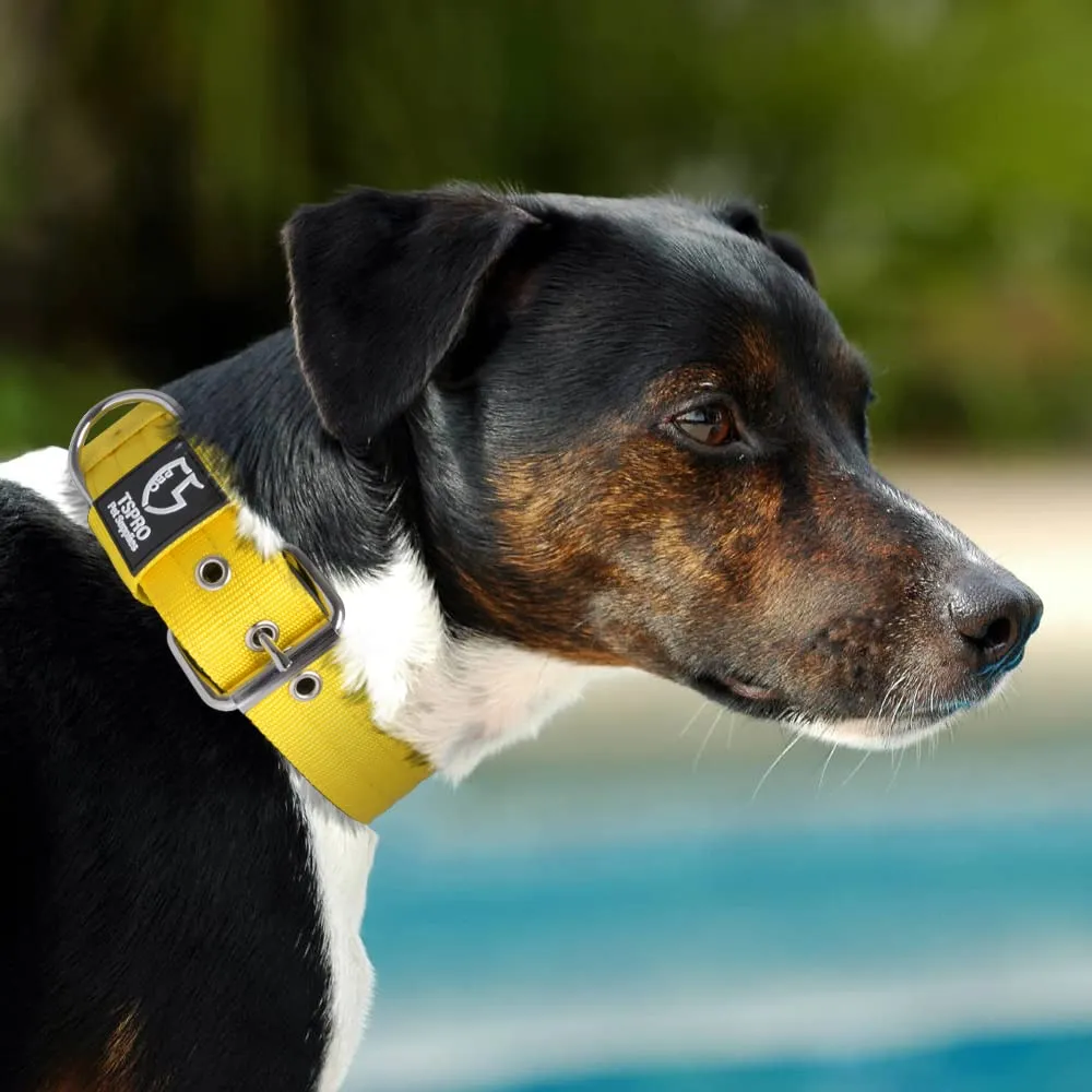 TSPRO Collare Tattico per Cane con Fodera Morbida, Giallo, Taglia L (48–55 cm) - immagine 6