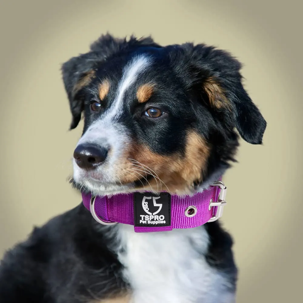 TSPRO Collare Tattico per Cane con Fodera Morbida, Blu, Taglia S (32–40 cm) - immagine 6