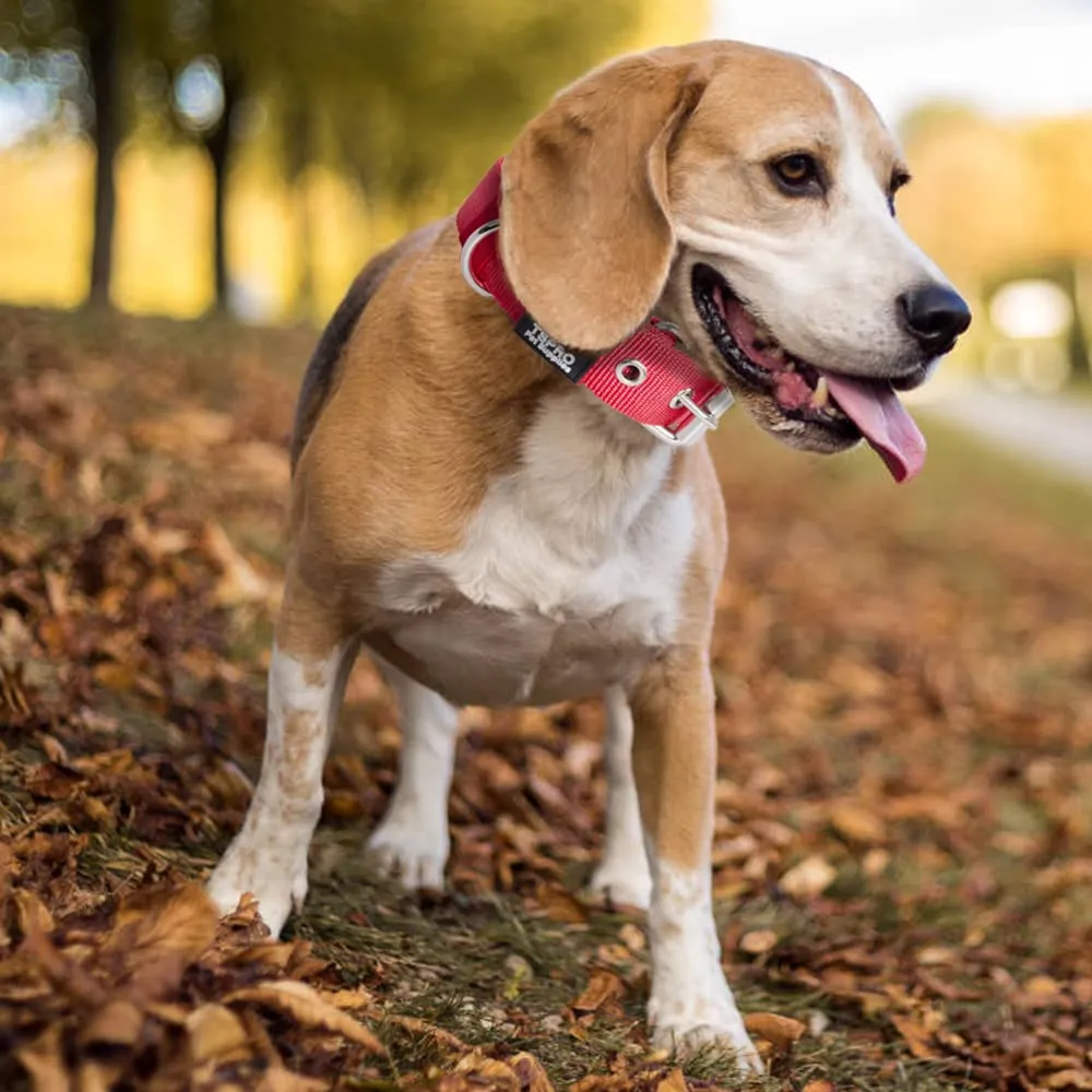 TSPRO Collare Tattico per Cane con Fodera Morbida, Taglia S (32–40 cm), Rosso - immagine 6