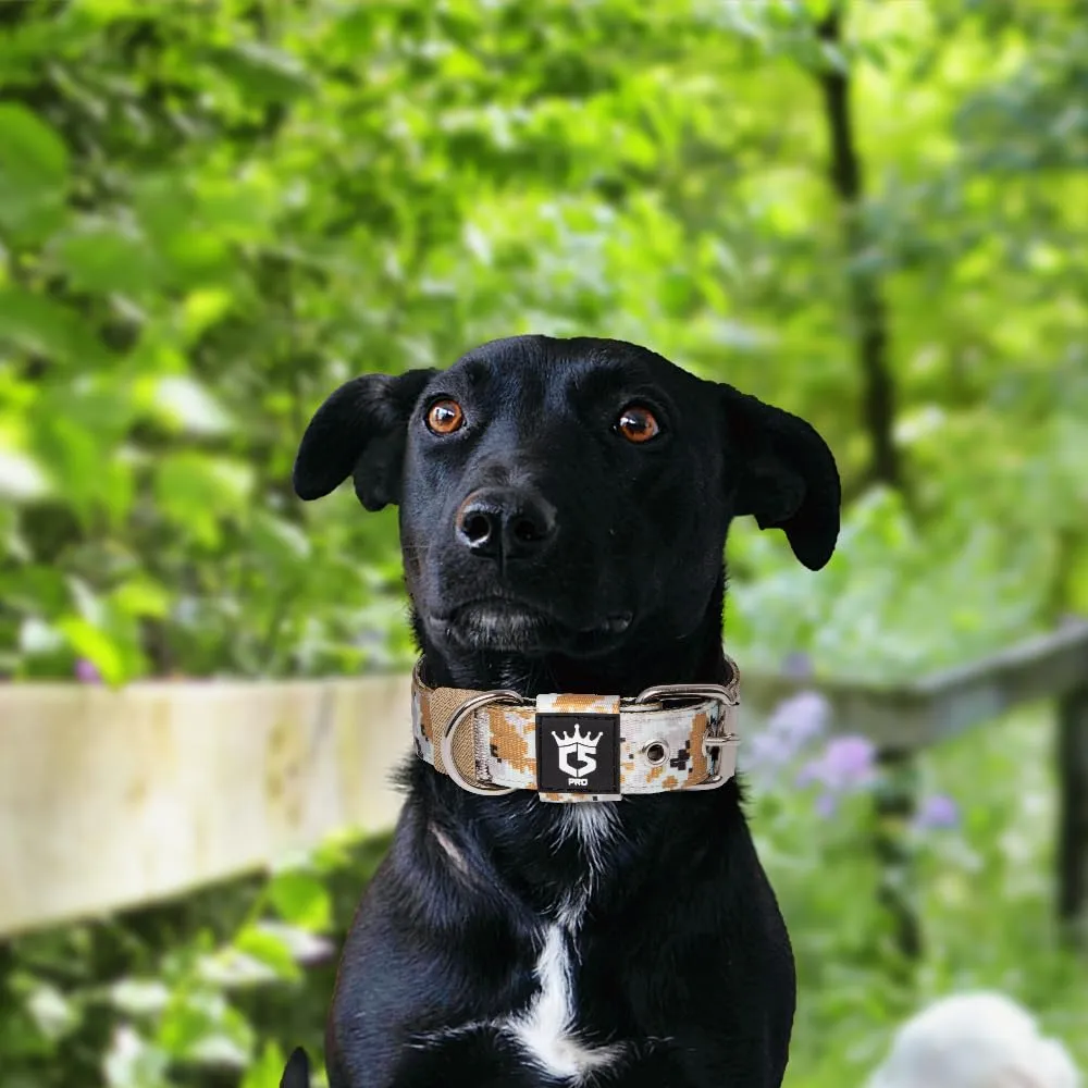 TSPRO Collare Tattico per Cane con Fodera Morbida, Taglia S (32–40 cm), Camo Khaki - immagine 6