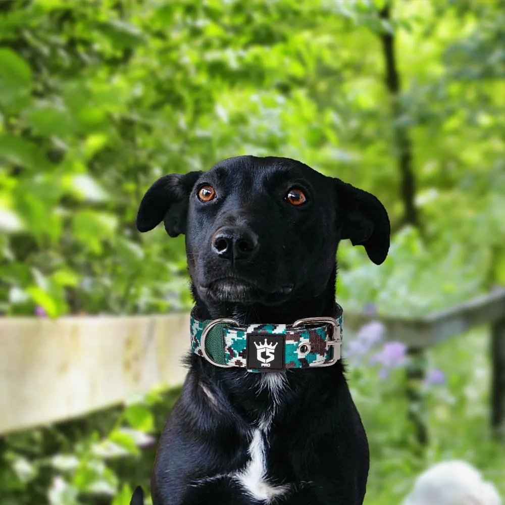 TSPRO Collare Tattico per Cane con Fodera Morbida, Taglia S (32–40 cm), Camo Cyan - immagine 6