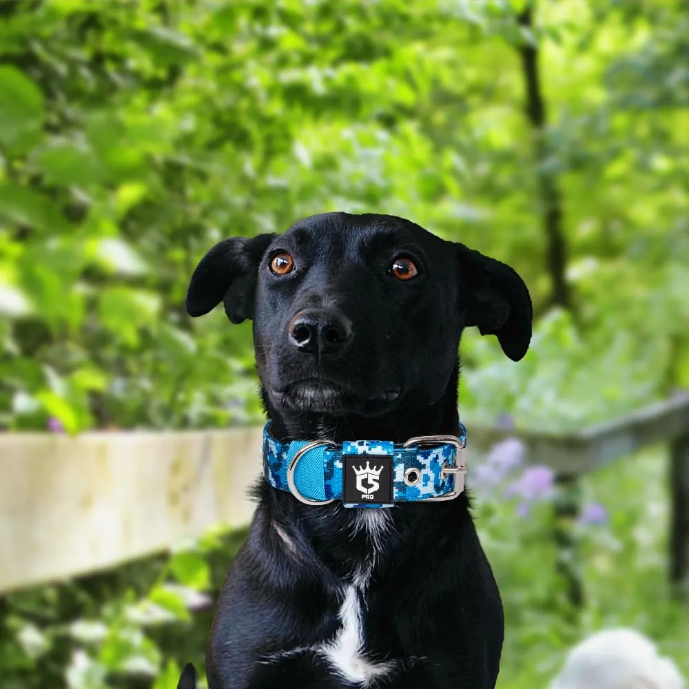 TSPRO Collare Tattico per Cane con Fodera Morbida, Taglia S (32–40 cm), Camo Blu - immagine 6