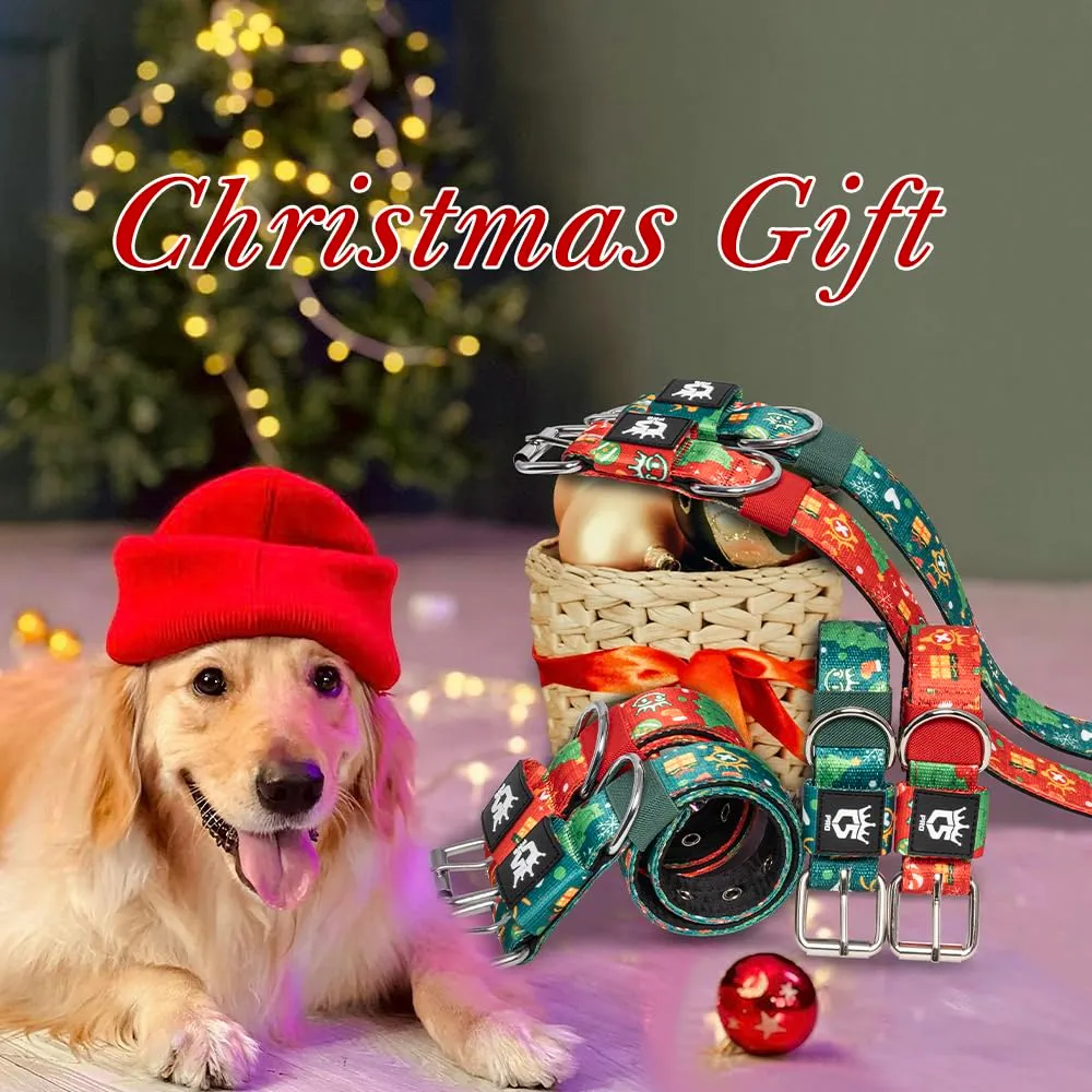 TSPRO Collare Tattico per Cane con Fodera Morbida, Taglia M (40–48 cm), Verde Natale - immagine 5