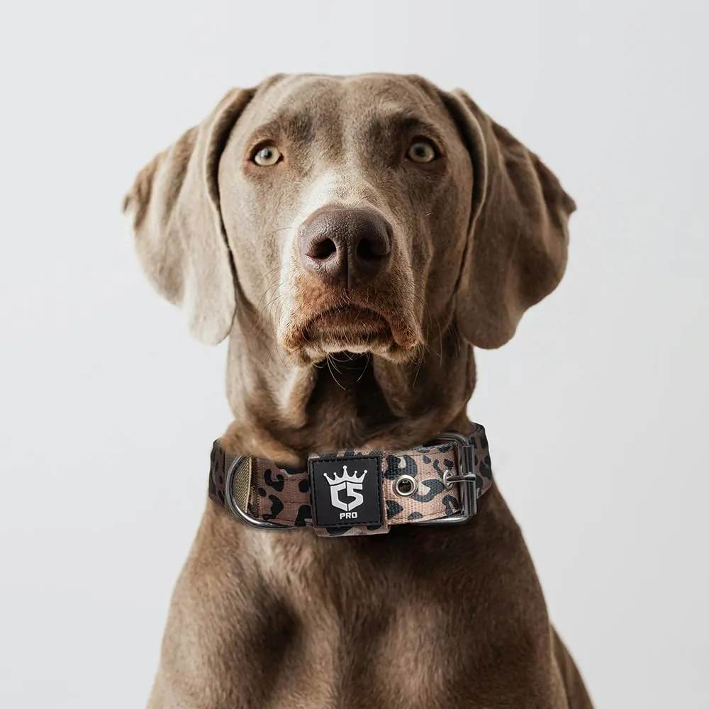 TSPRO Collare Tattico per Cane con Fodera Morbida, Taglia L (48–55 cm), Stampa Leopardata - immagine 6