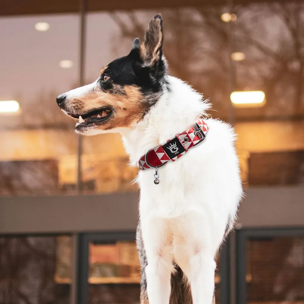 TSPRO Collare Tattico per Cane con Fodera Morbida, Taglia S (32–40 cm), Geometrico - immagine 6