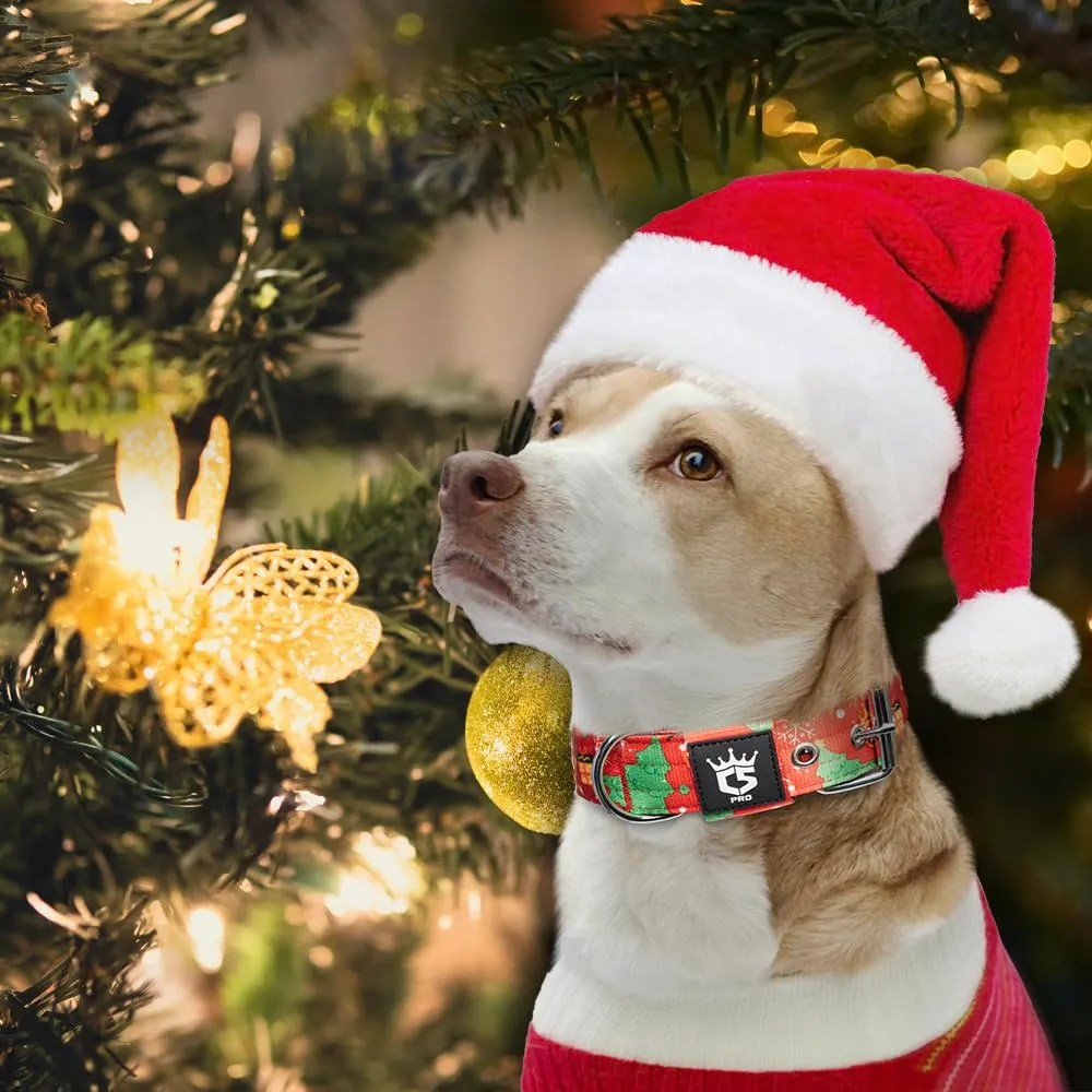 TSPRO Collare Tattico per Cane con Fodera Morbida, Taglia L (48–55 cm), Rosso Natale - immagine 6