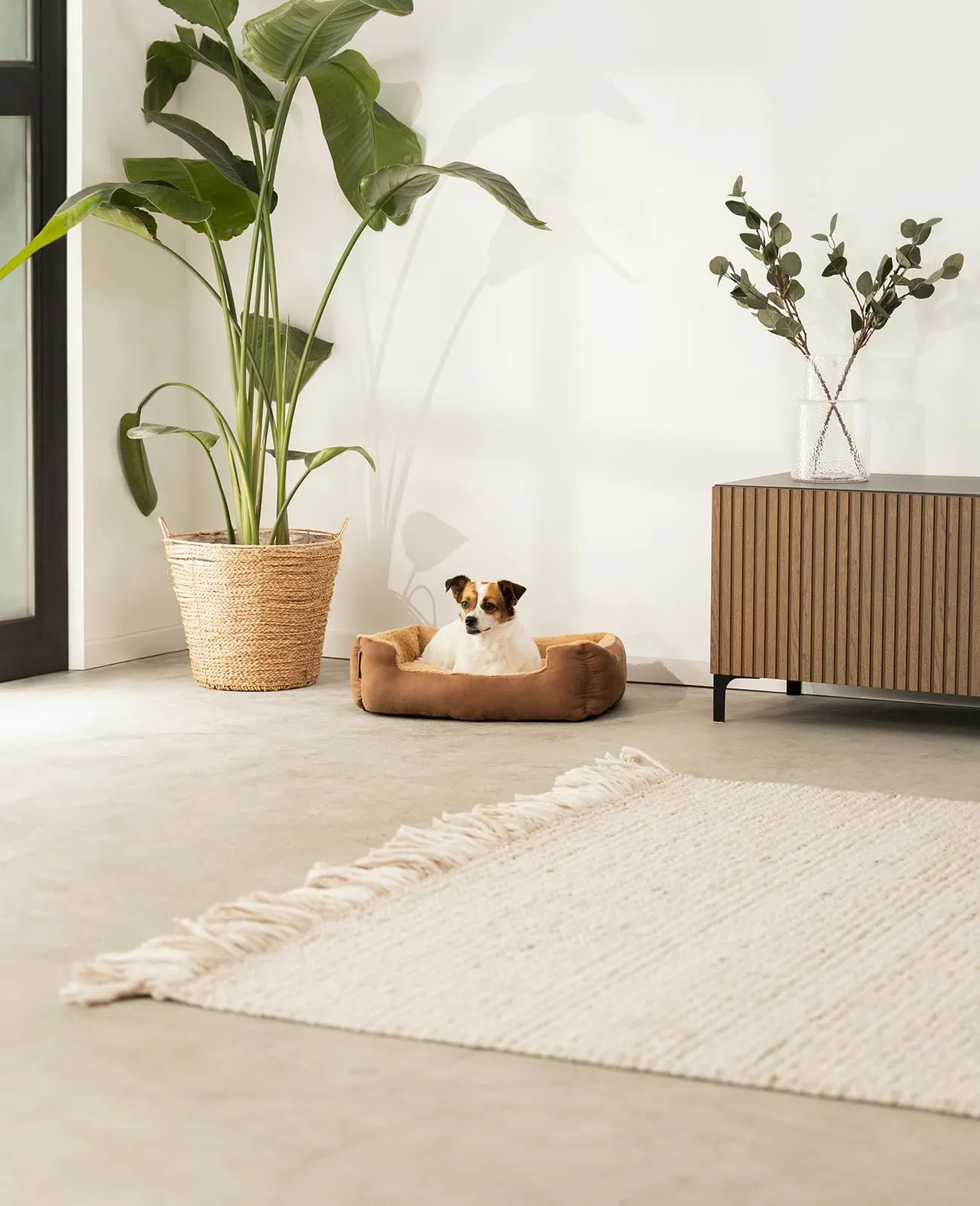 lionto Cuccia per Cani con Cuscino Reversibile, 60 x 48 cm, Marrone/Beige - immagine 2