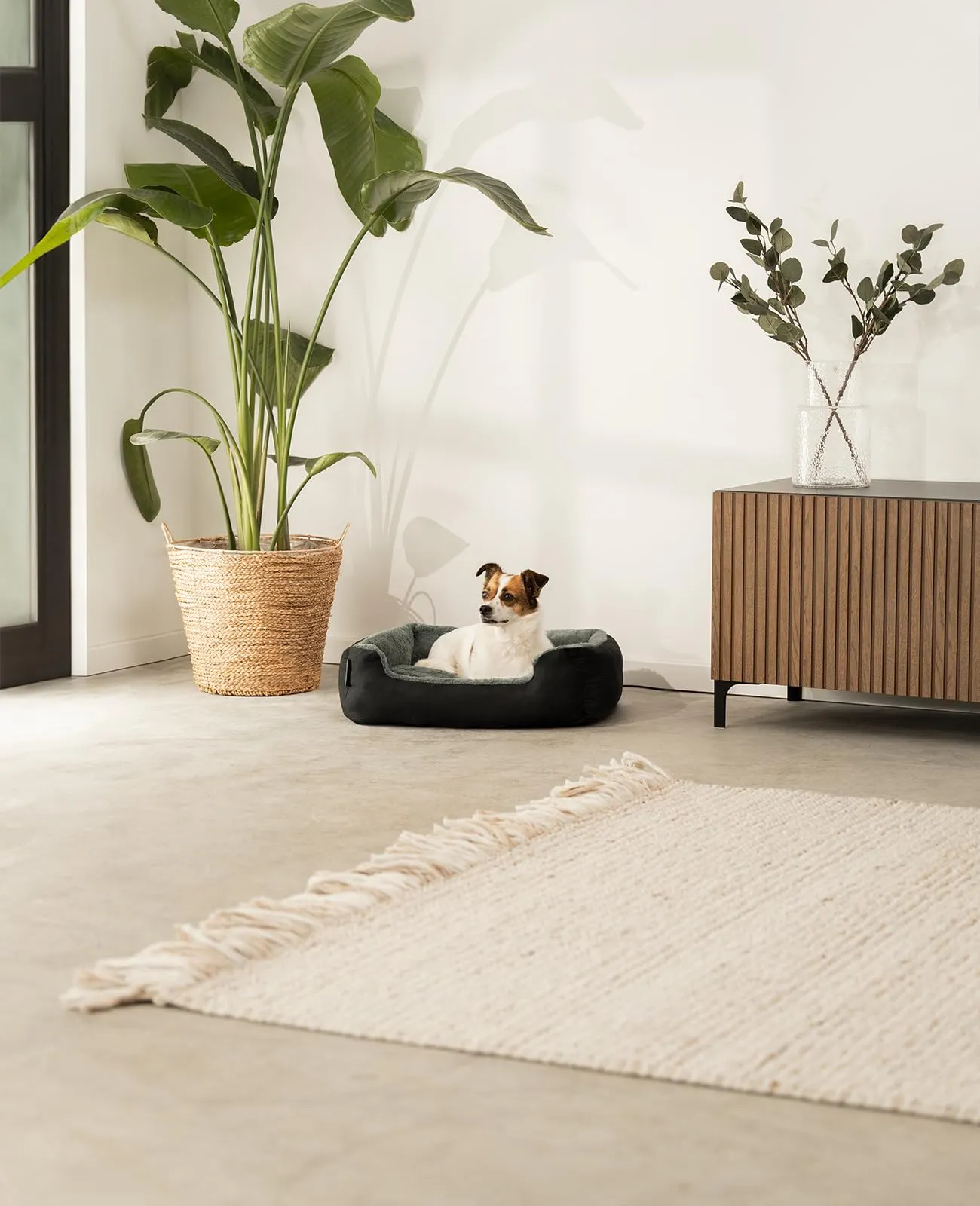lionto Cuccia Cane con Cuscino Reversibile, 60 x 48 cm, Nero - immagine 2