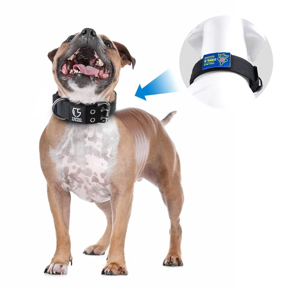 TSPRO Collare Tattico per Cani Grandi e Molto Grandi con Toppe Rimovibili, Taglia L-XL, Khaki - immagine 6
