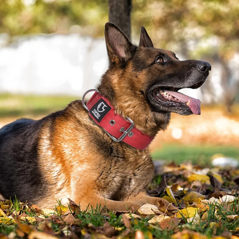 TSPRO Collare Tattico per Cane con Fodera Morbida, Taglia M (40–48 cm), Rosso - immagine 6