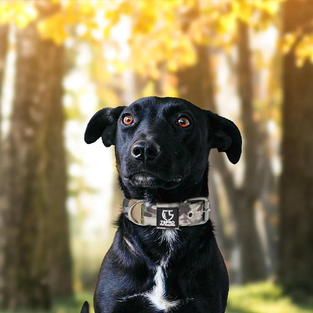 TSPRO Collare Tattico per Cane con Fodera Morbida, Taglia S (32–40 cm), Verde Militare - immagine 6