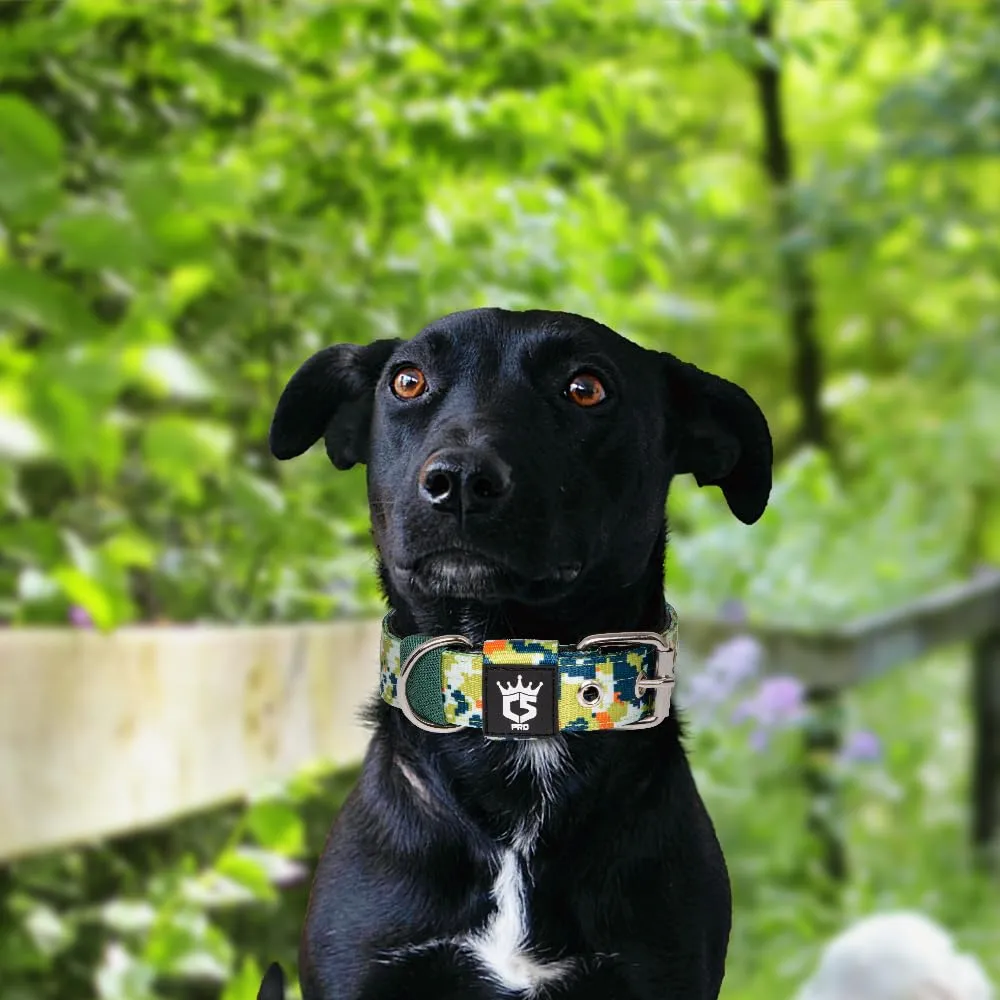 TSPRO Collare Tattico per Cane con Fodera Morbida, Taglia S (32–40 cm), Camo Verde - immagine 6