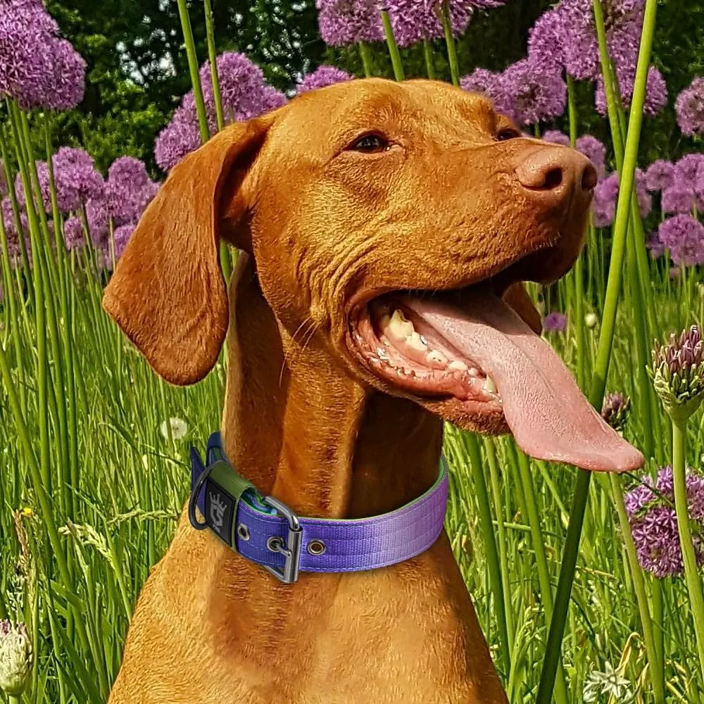TSPRO Collare Tattico per Cane con Fodera Morbida, Taglia L (48–55 cm), Arcobaleno - immagine 6