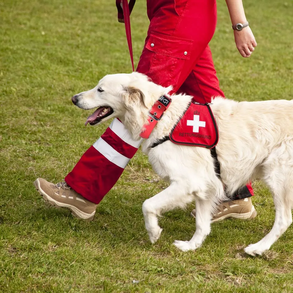 TSPRO Collare Tattico per Cane con Fodera Morbida, Taglia L (48–55 cm), Rosso - immagine 6