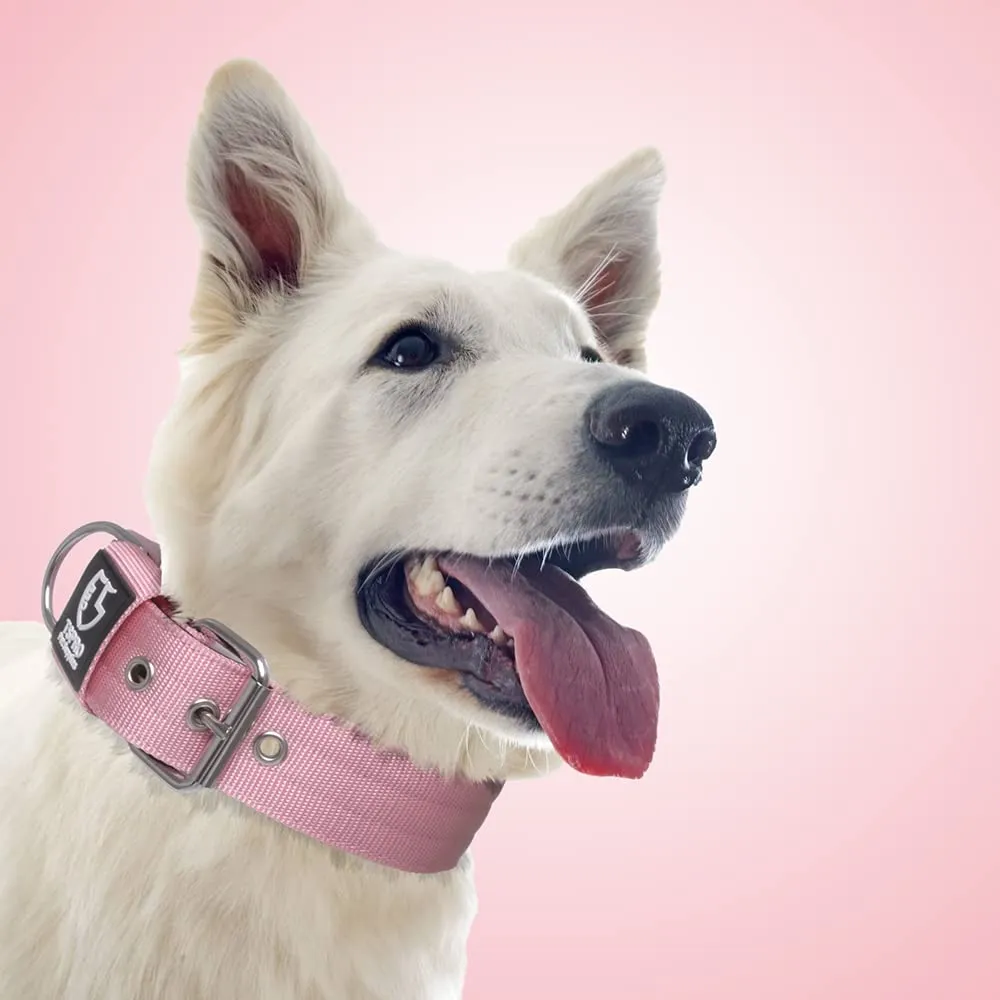 TSPRO Collare Tattico per Cane con Fodera Morbida, Taglia L, Rosa - immagine 6