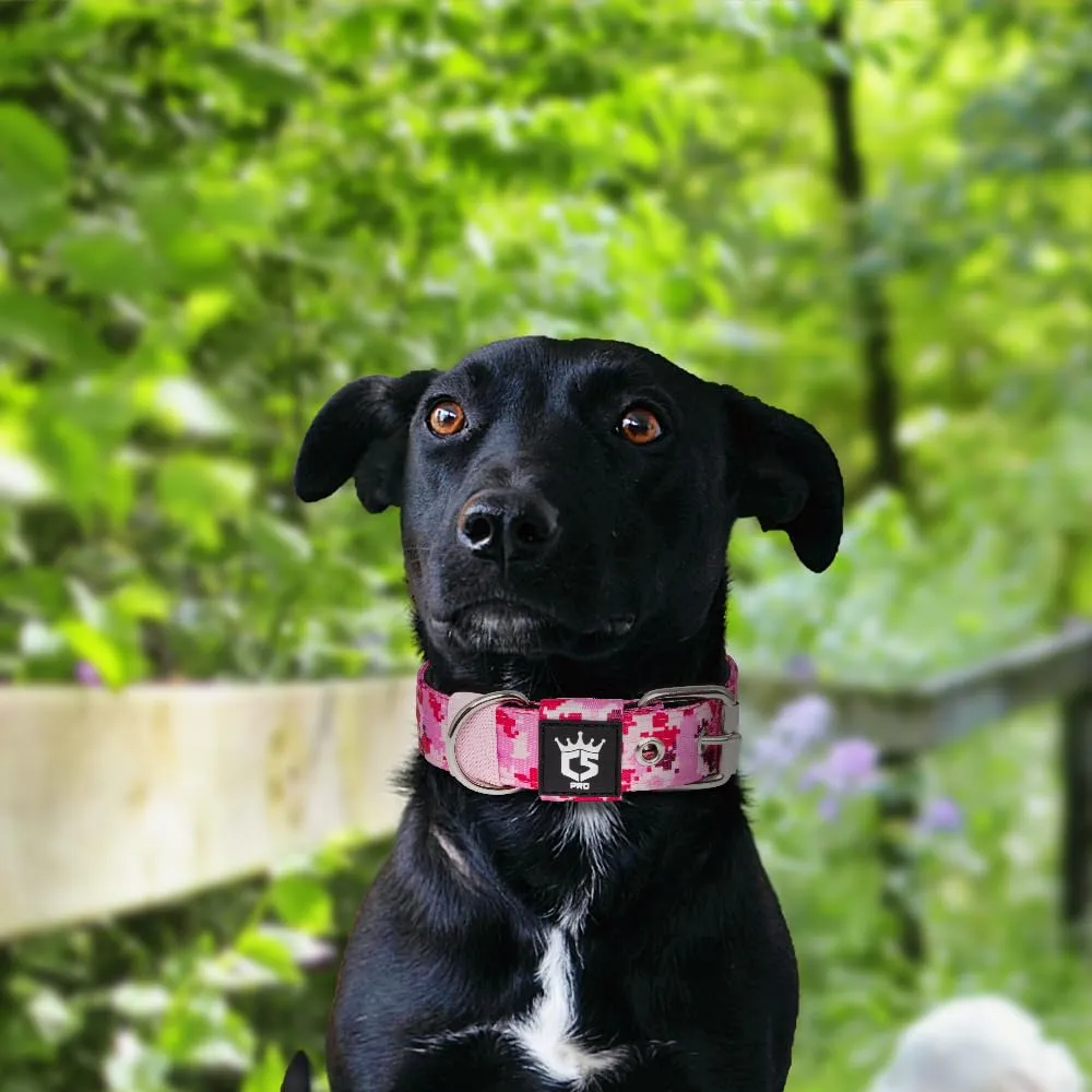 TSPRO Collare Tattico per Cane con Fodera Morbida, Taglia S (32–40 cm), Camo Rosa - immagine 6