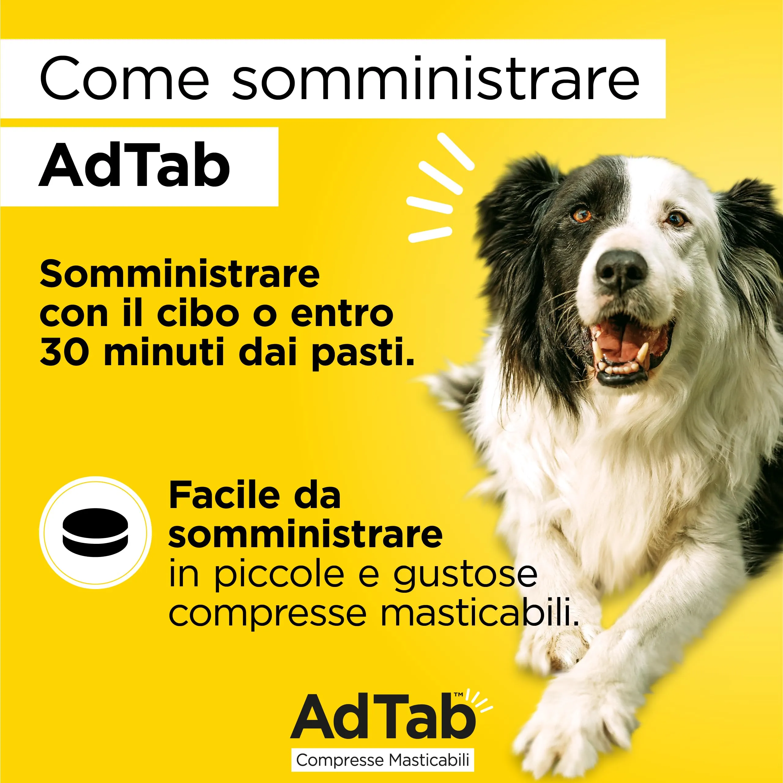 AdTab Compresse Masticabili per Cani 5,5-11kg - 3 compresse - immagine 3