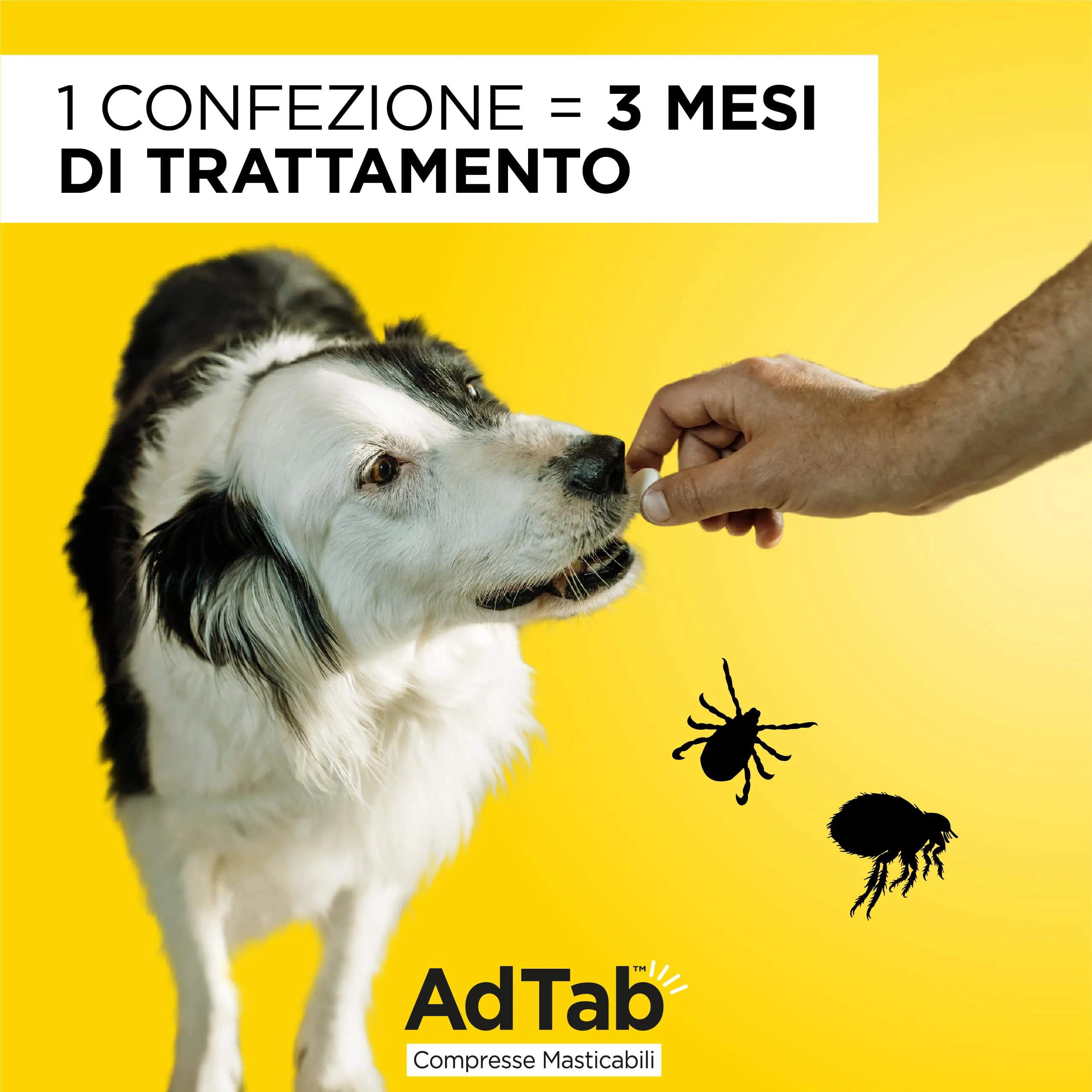 AdTab Compresse Masticabili per Cani 5,5-11kg - 3 compresse - immagine 4