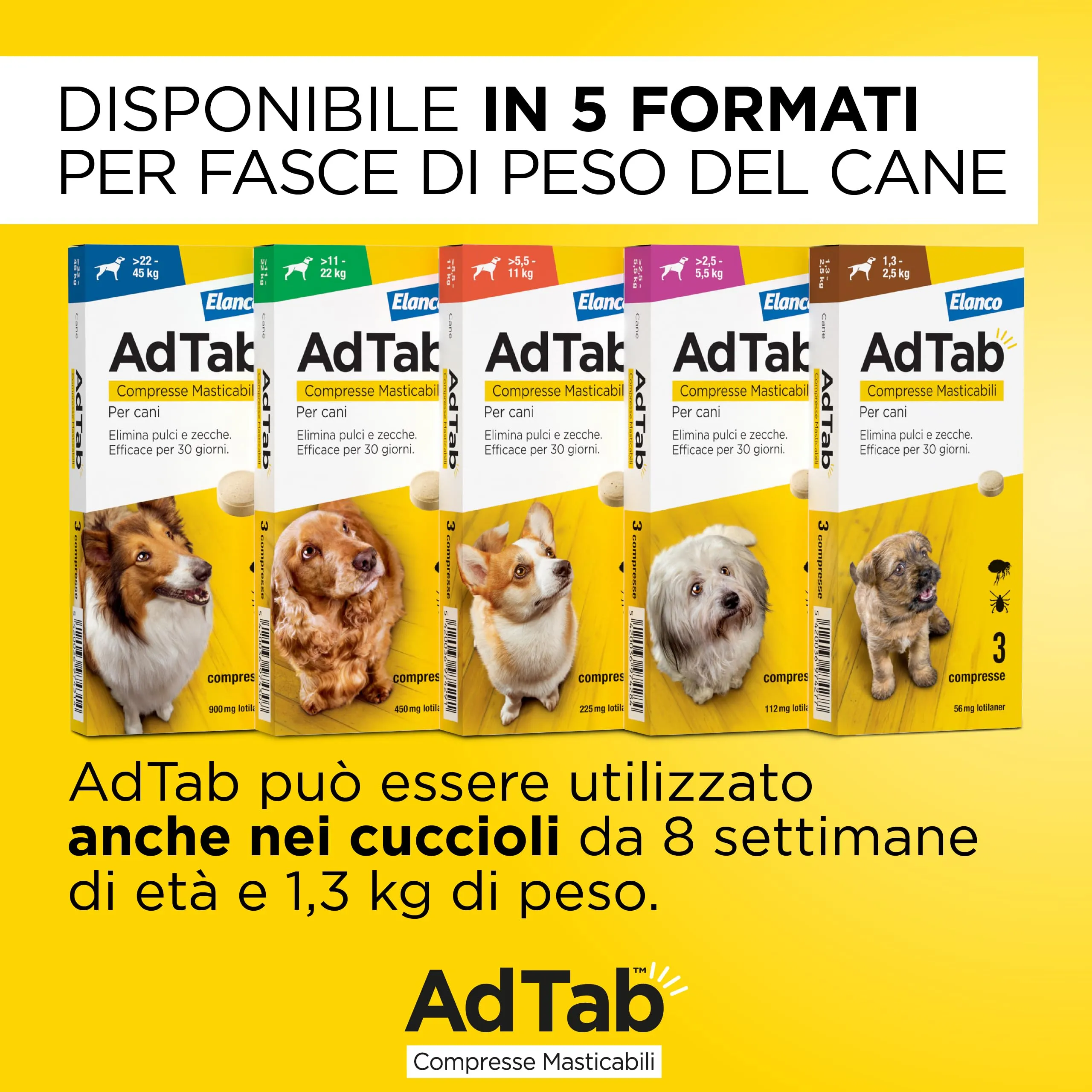 AdTab Compresse Masticabili per Cani 5,5-11kg - 3 compresse - immagine 5