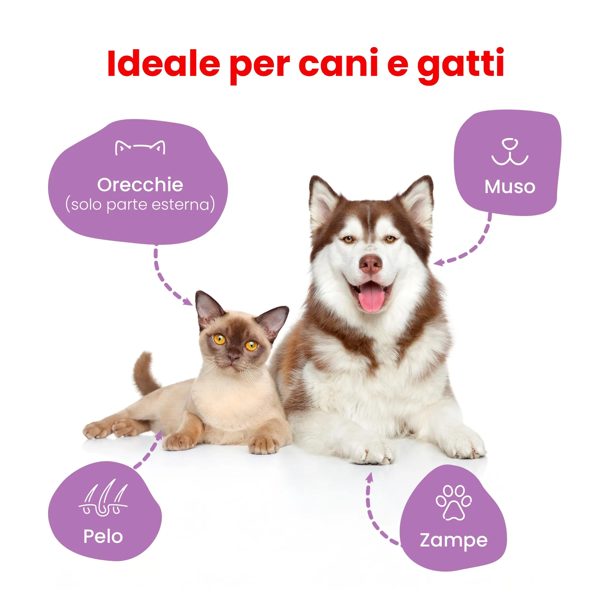 Camon Salviette Detergenti per Cani e Gatti, Fragranza Mirra, 30x17 cm - immagine 3