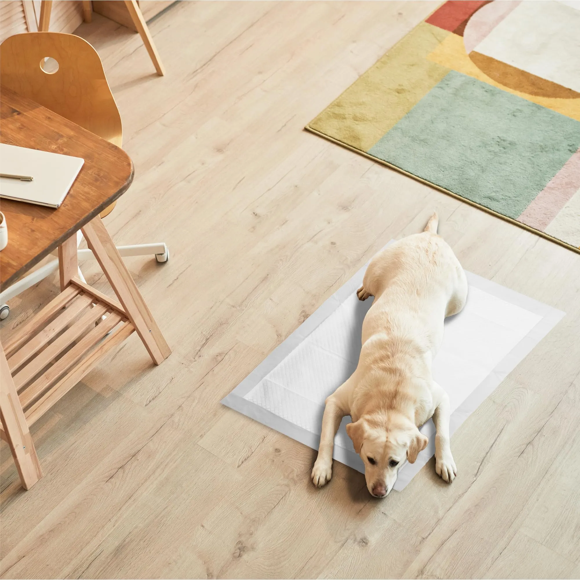 R MOVE Traversine Cani 60x90 cm con Adesivi, Extra-assorbenti Anti-odore (Confezione da 100) - immagine 8