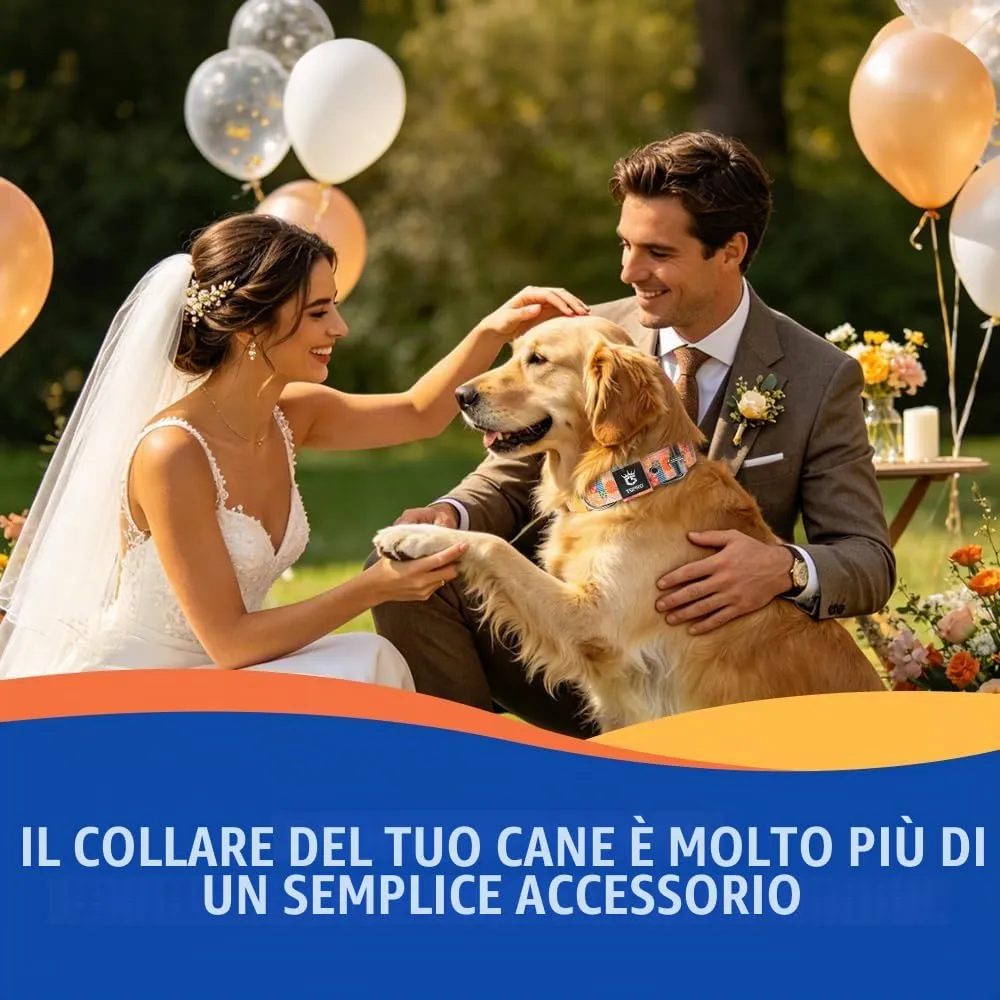 TSPRO Collare Tattico per Cane con Fodera Morbida, Taglia M, Fiori Campestri - immagine 6