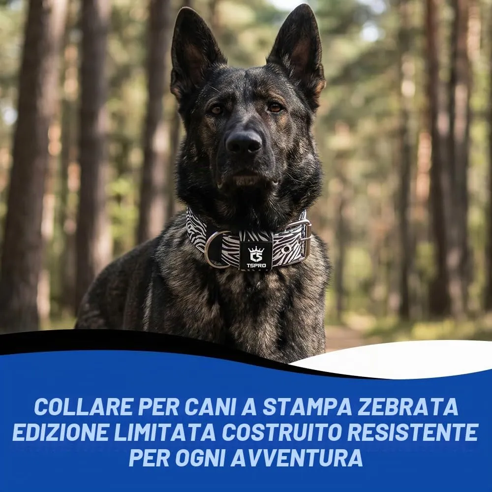 TSPRO Collare Tattico per Cane con Fodera Morbida, Taglia L, Zebra Classico - immagine 6