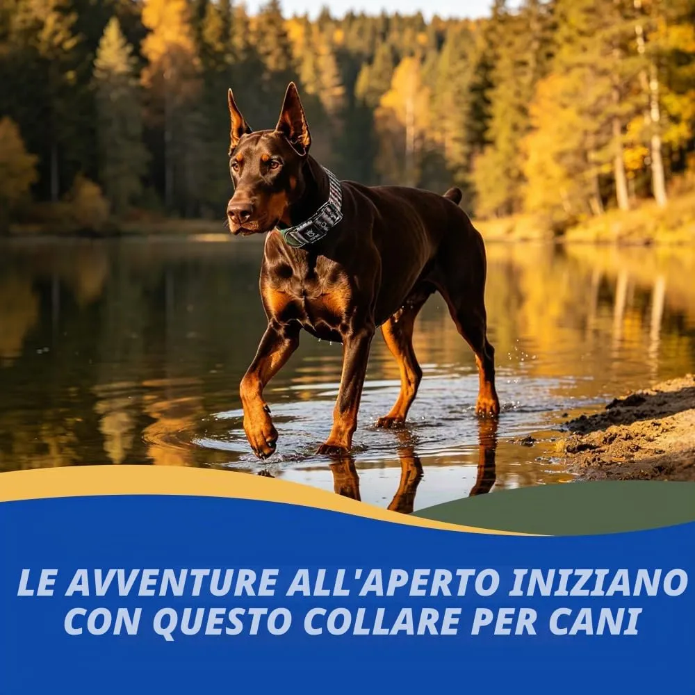 TSPRO Collare Tattico per Cane con Fodera Morbida, Taglia M (40–48 cm), Vena Bosco - immagine 6