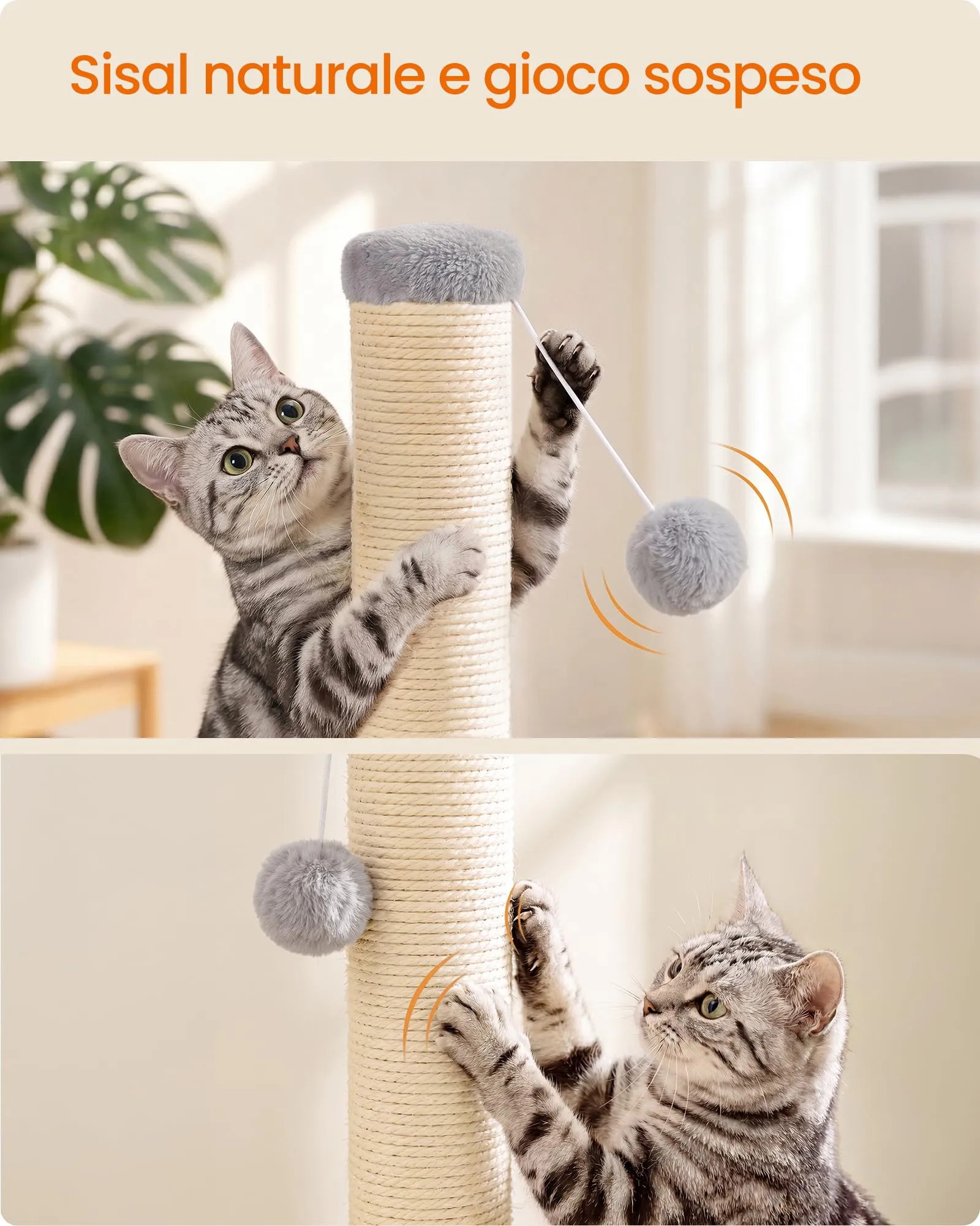 Feandrea Tiragraffi per Gatti in Sisal Naturale, 40 x 40 x 44 cm, Grigio Tortora - immagine 6