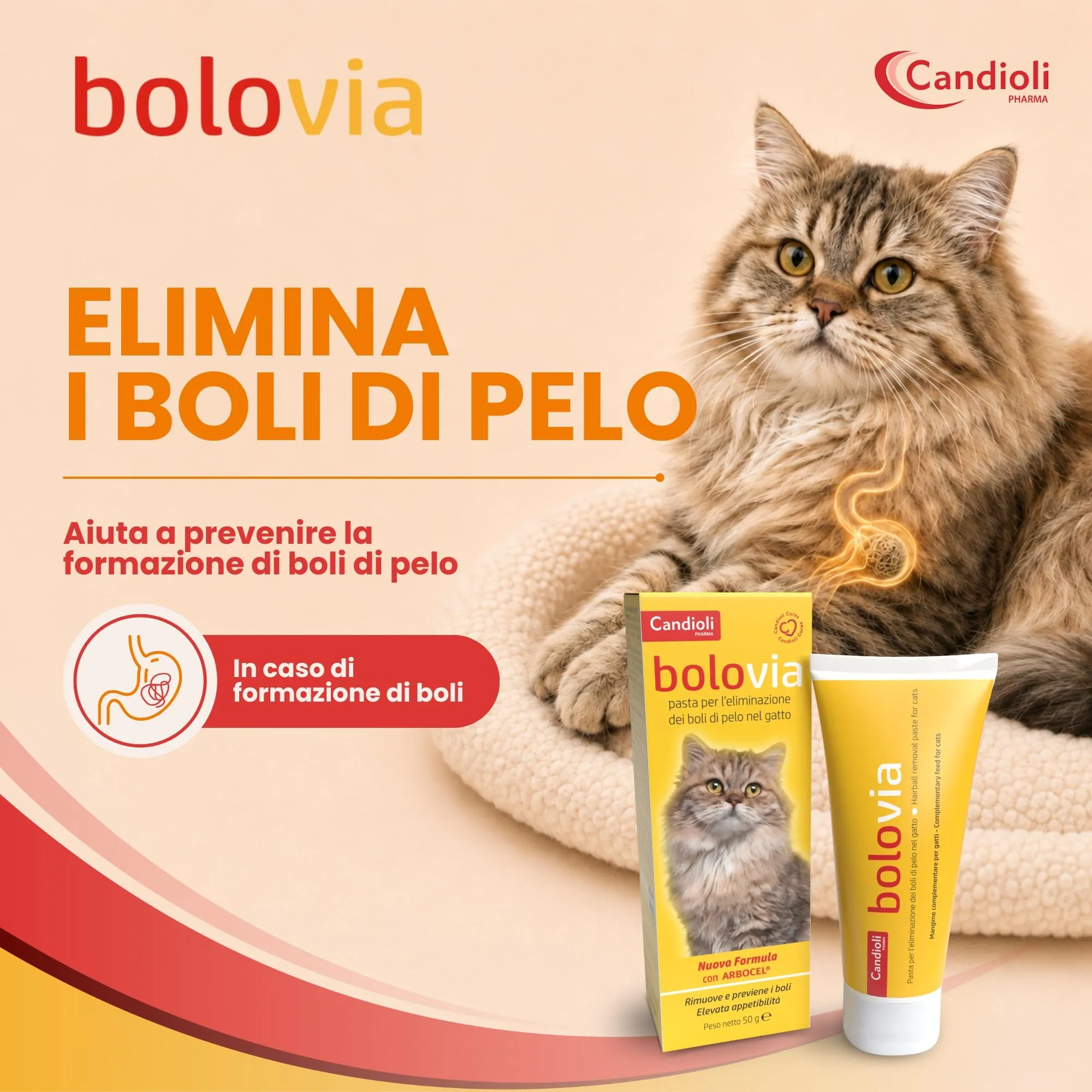 Candioli Bolo Via Pasta 50 g - immagine 2