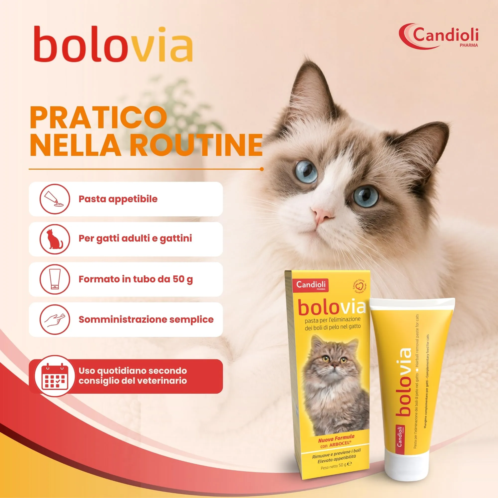Candioli Bolo Via Pasta 50 g - immagine 4