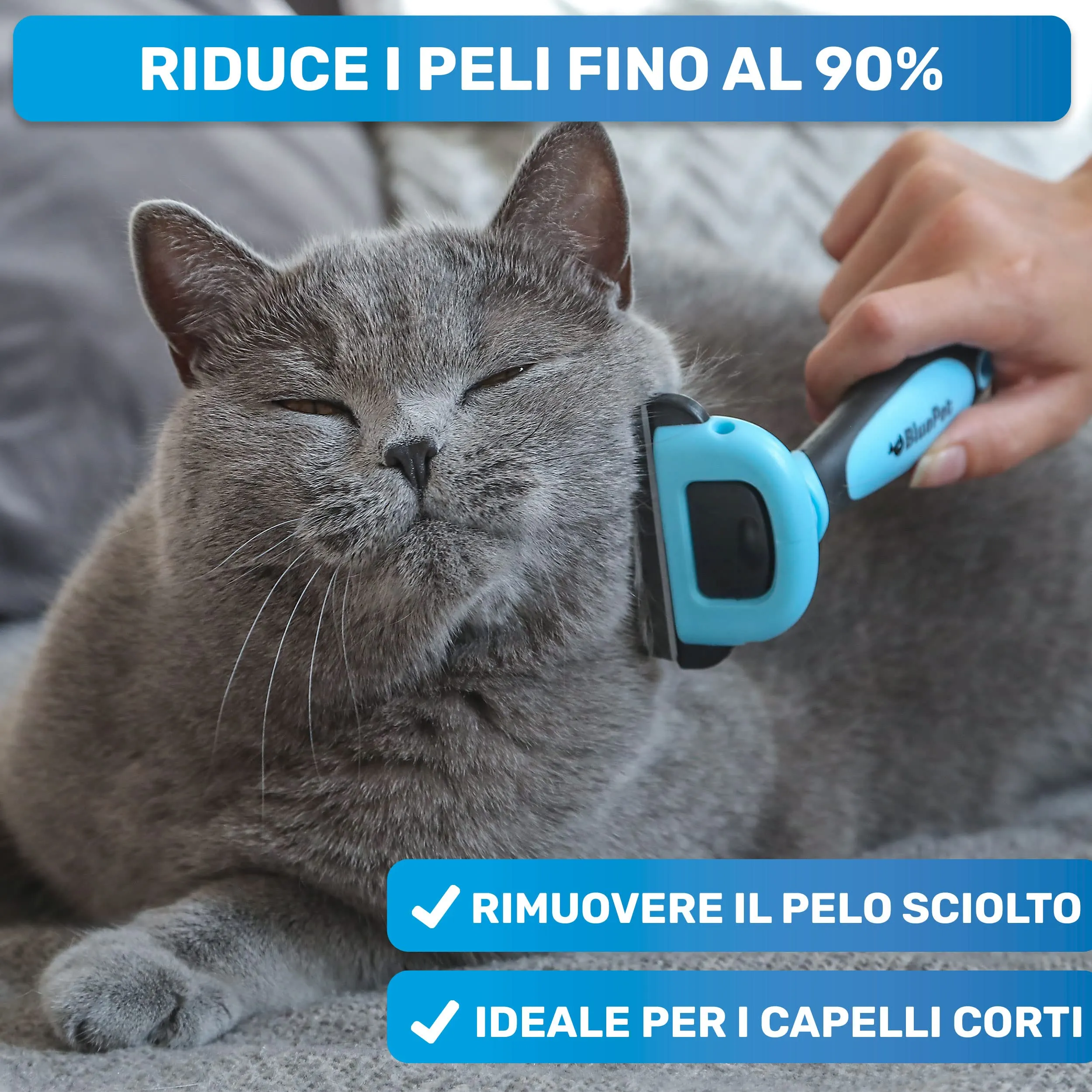 BluePet Spazzola per Cani e Gatti Pelo Corto, Pettine del Sottopelo - immagine 2