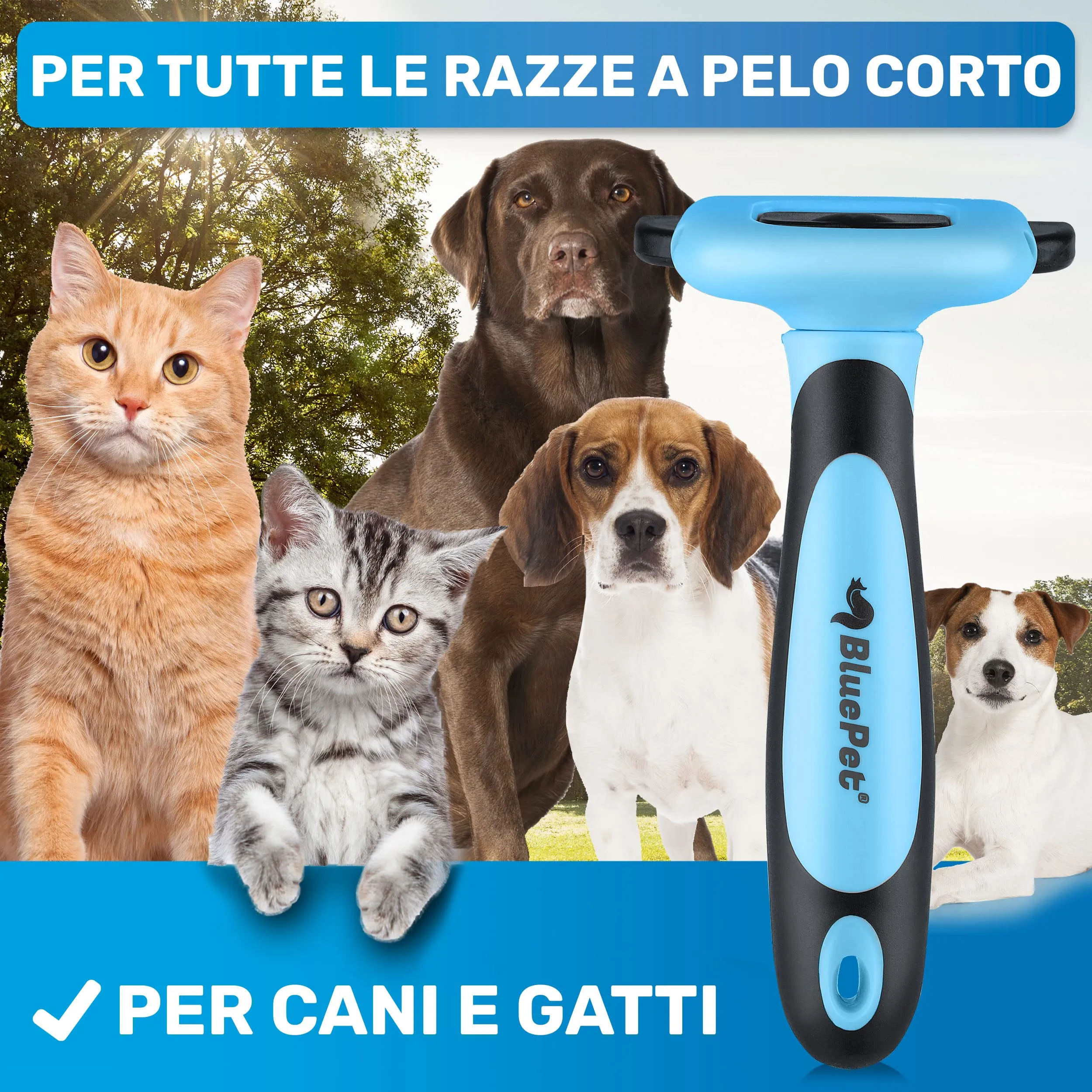 BluePet Spazzola per Cani e Gatti Pelo Corto, Pettine del Sottopelo - immagine 3