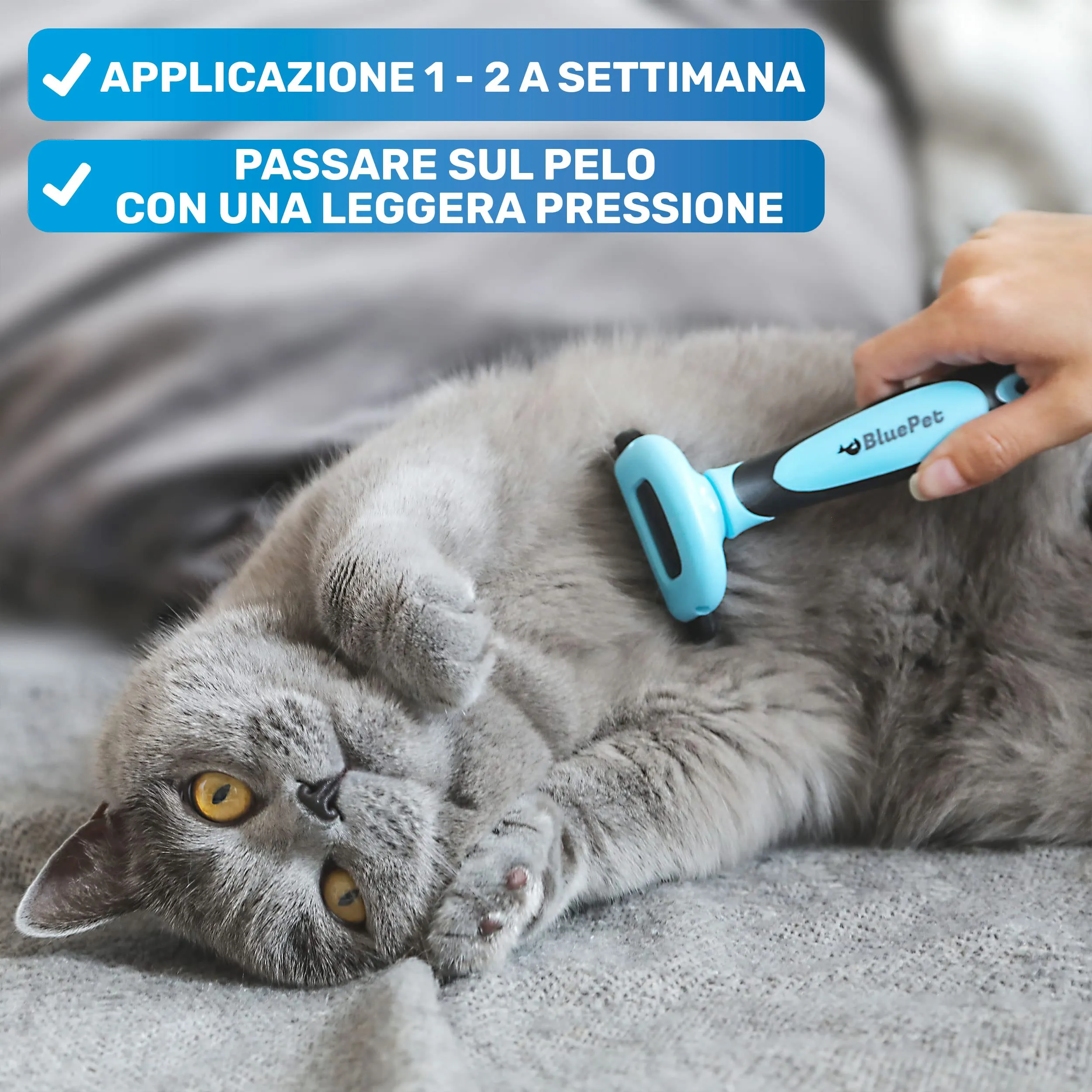 BluePet Spazzola per Cani e Gatti Pelo Corto, Pettine del Sottopelo - immagine 4