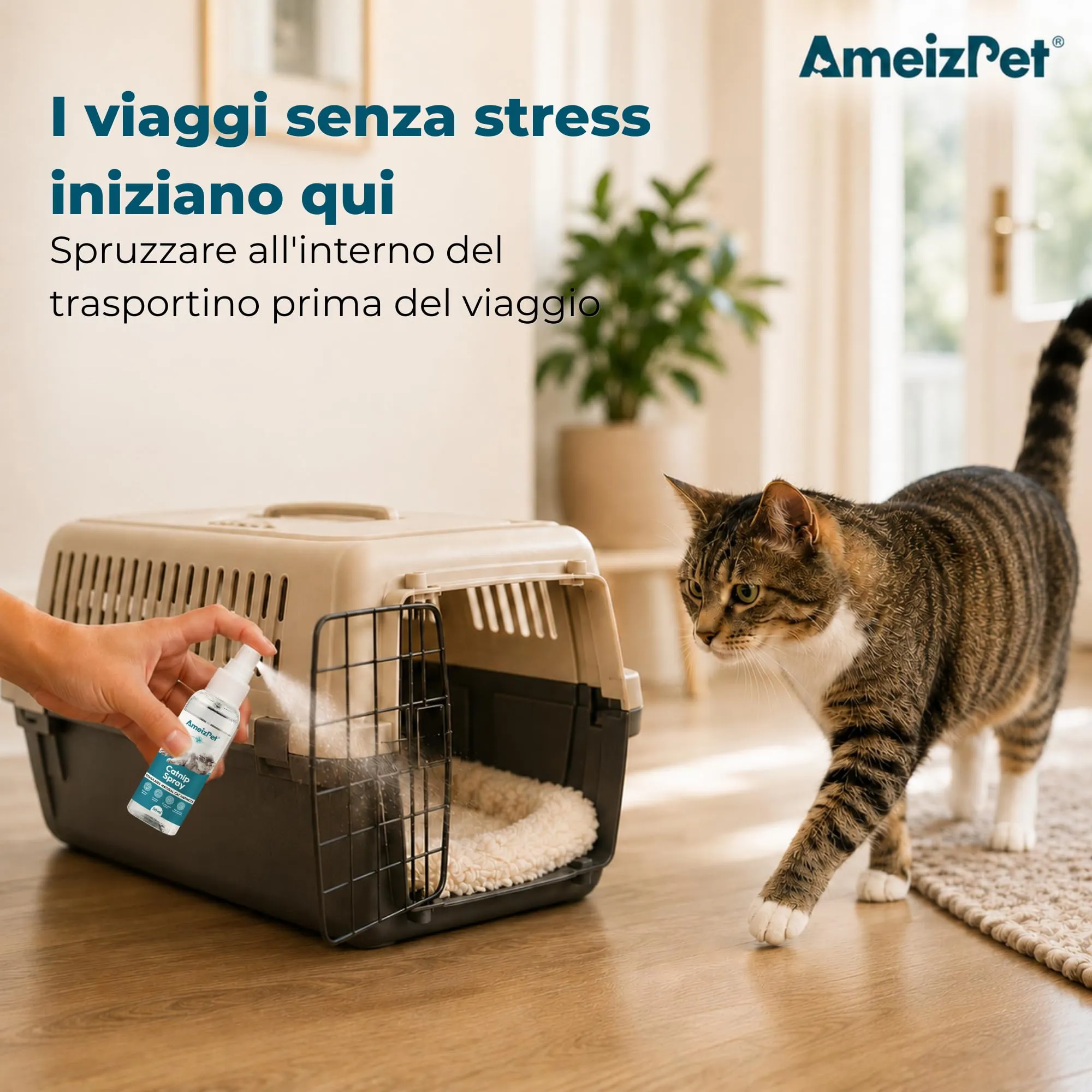 AmeizPet Spray all'Erba Gatta per Gatti, 50 ml - immagine 5