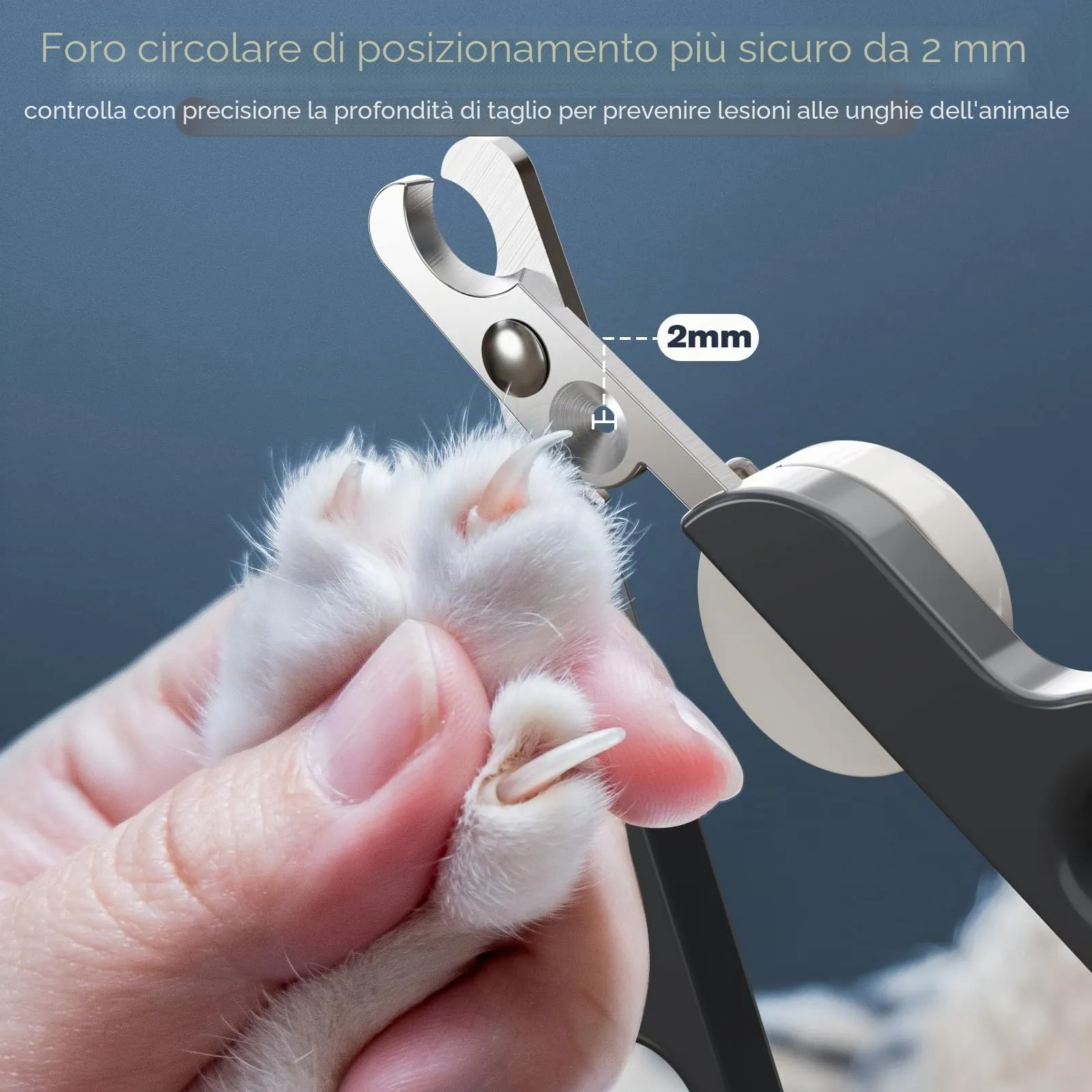 Euqvunn Tagliaunghie per Gatti e Piccoli Animali con Doppia Lama e Luce LED (Grigio Bianco) - immagine 6