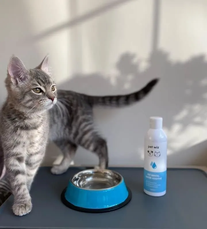 pet wiz Additivo per Acqua Dentale per Cani e Gatti, 500 ml - immagine 3