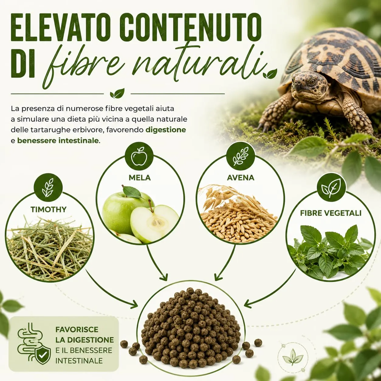 AGRI-CULTURA Mangime per Tartarughe di Terra Baby, Pellet Mini, 500 g - immagine 4