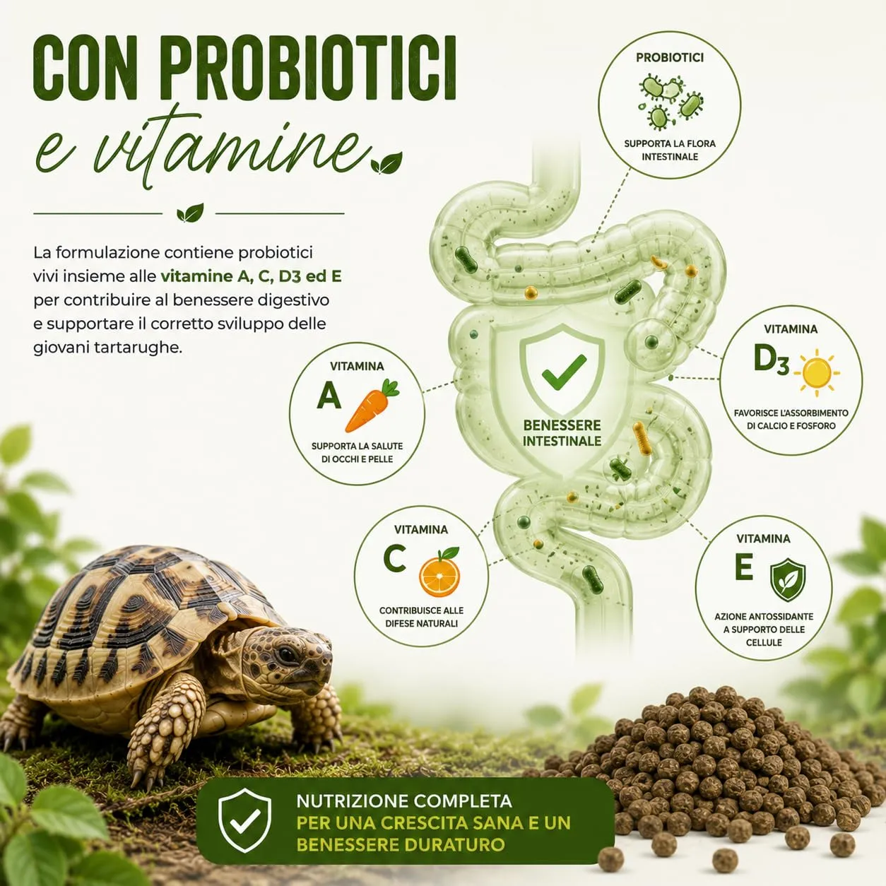 AGRI-CULTURA Mangime per Tartarughe di Terra Baby, Pellet Mini, 500 g - immagine 6