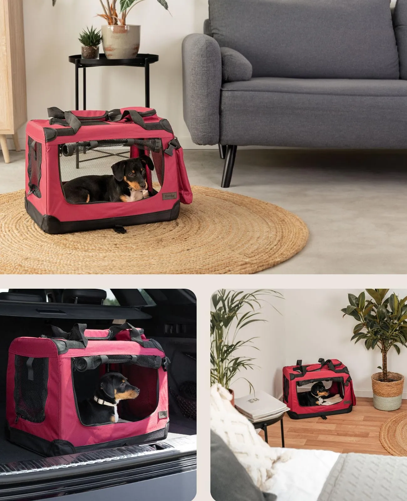 lionto Trasportino Cane Pieghevole per Viaggio e Auto, 50x34x36 cm, Rosso - immagine 2