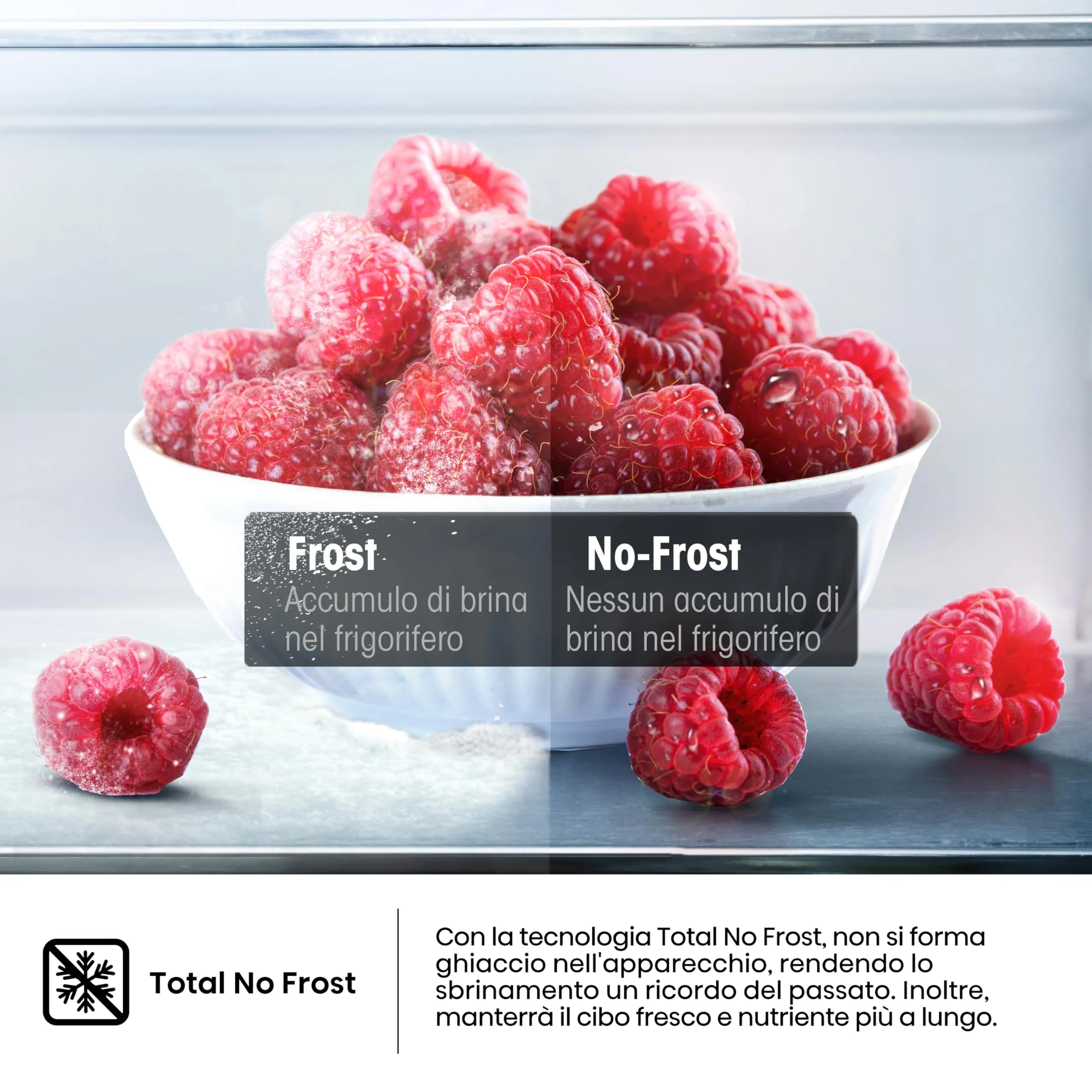 Hisense FV245N4AW2 Freezer Verticale Total No Frost, 194 L, Bianco, Porte reversibili - immagine 6