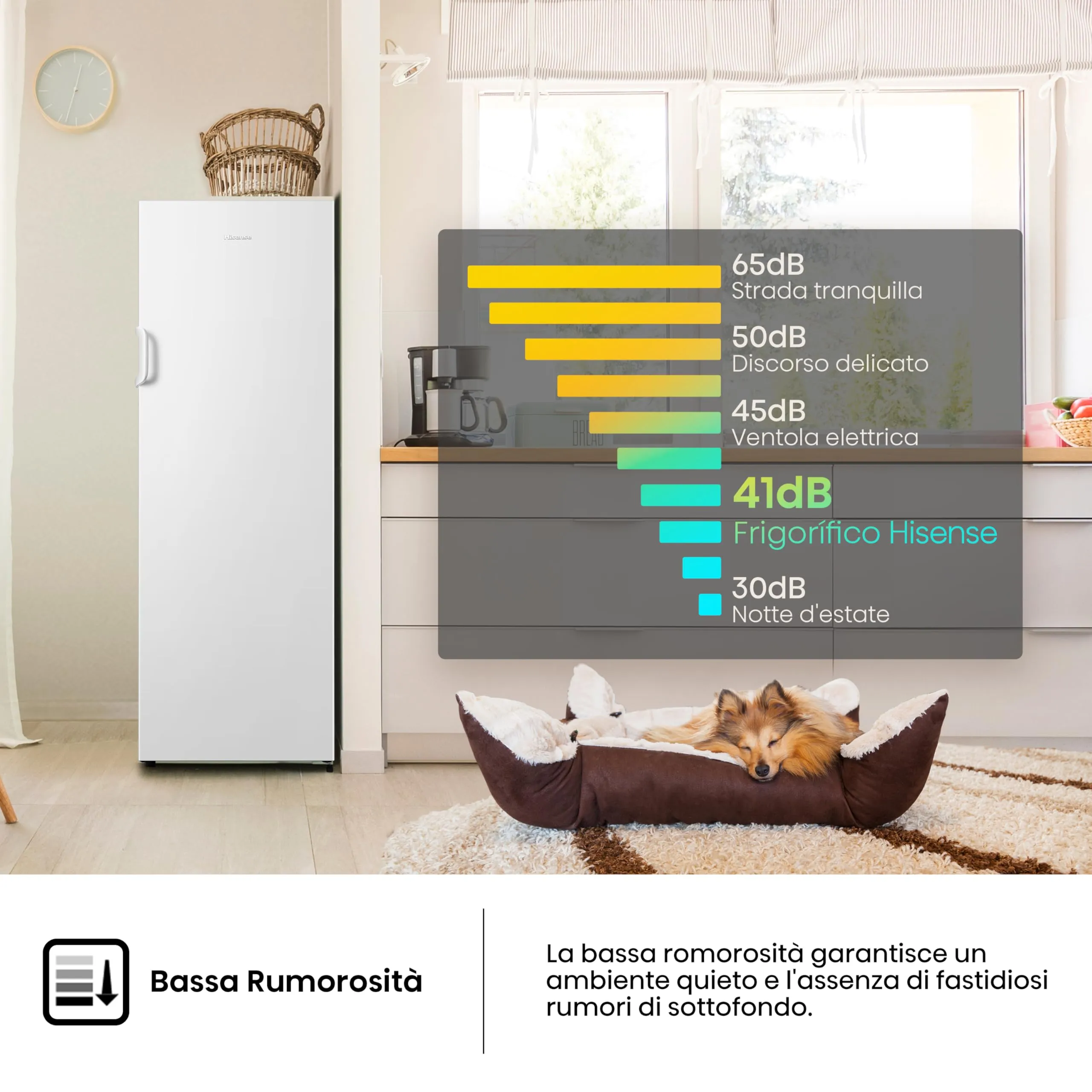 Hisense FV245N4AW2 Freezer Verticale Total No Frost, 194 L, Bianco, Porte reversibili - immagine 8