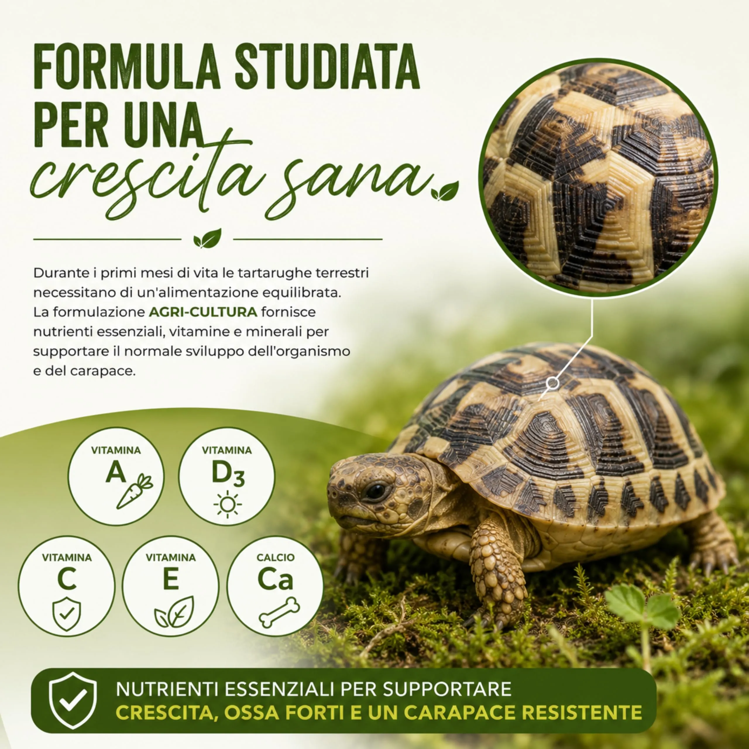 AGRI-CULTURA Mangime per Tartarughe di Terra Baby 2x500 g Pellet Mini - immagine 3