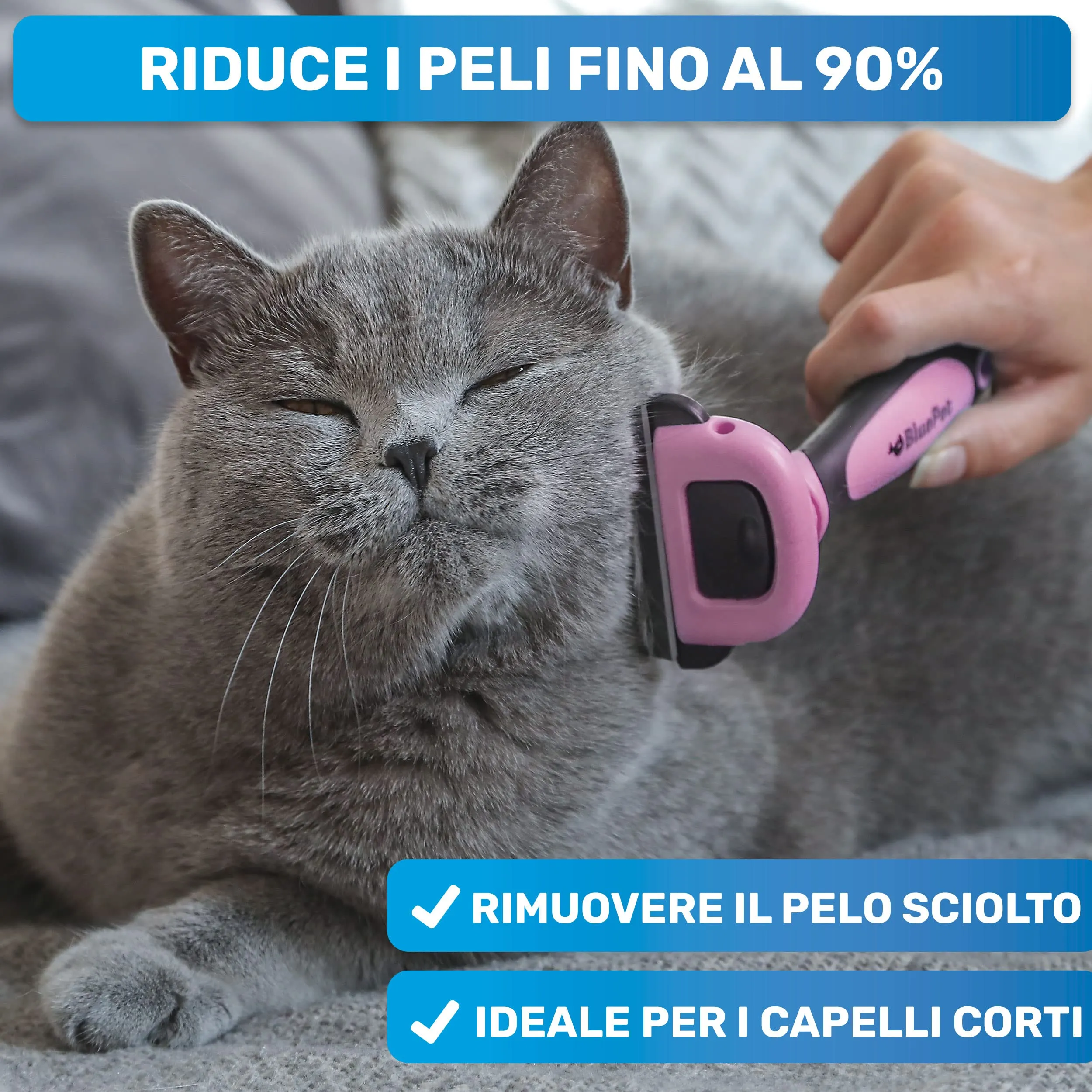 BluePet Spazzola per Cani e Gatti Pelo Corto, Pettine del Sottopelo - immagine 2