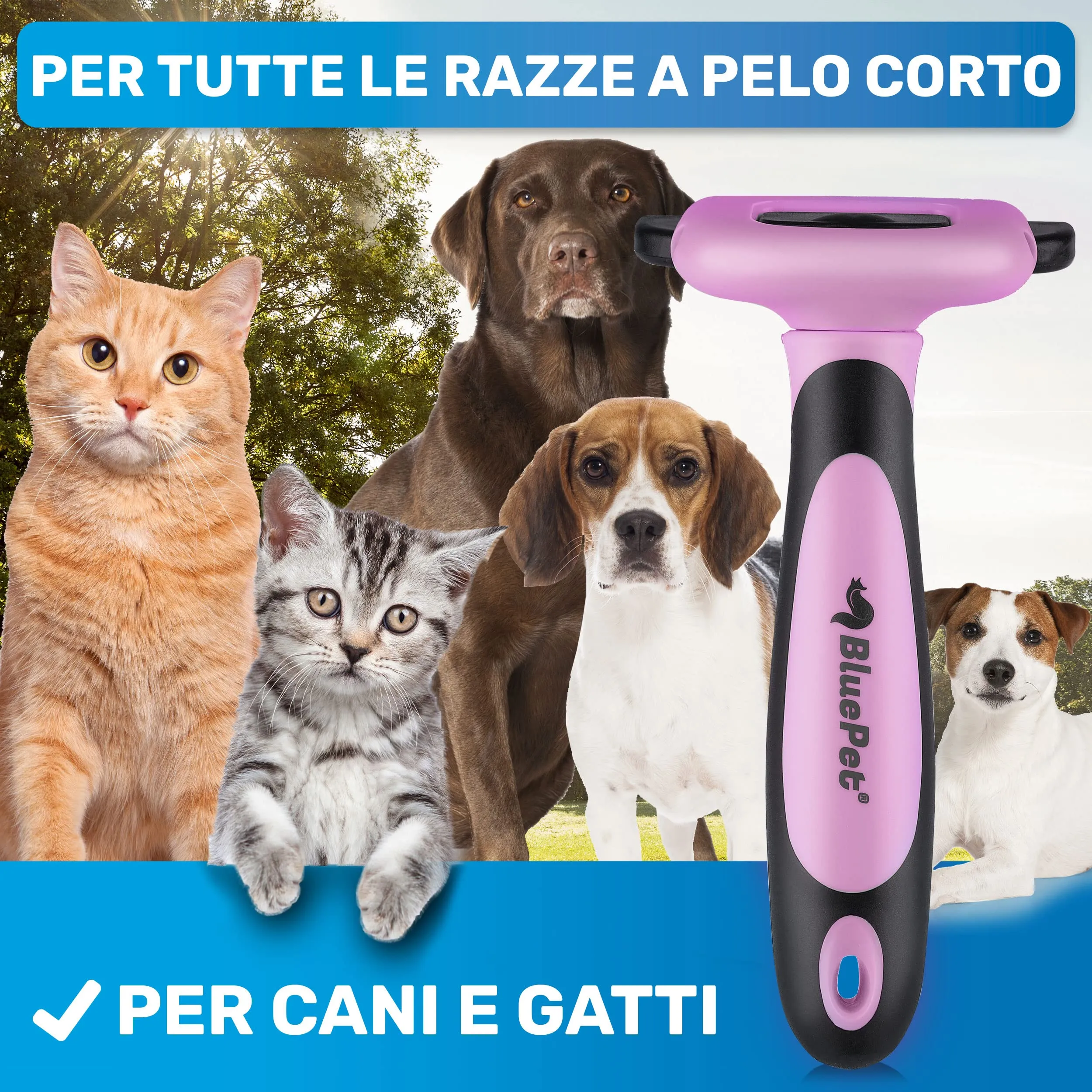 BluePet Spazzola per Cani e Gatti Pelo Corto, Pettine del Sottopelo - immagine 3