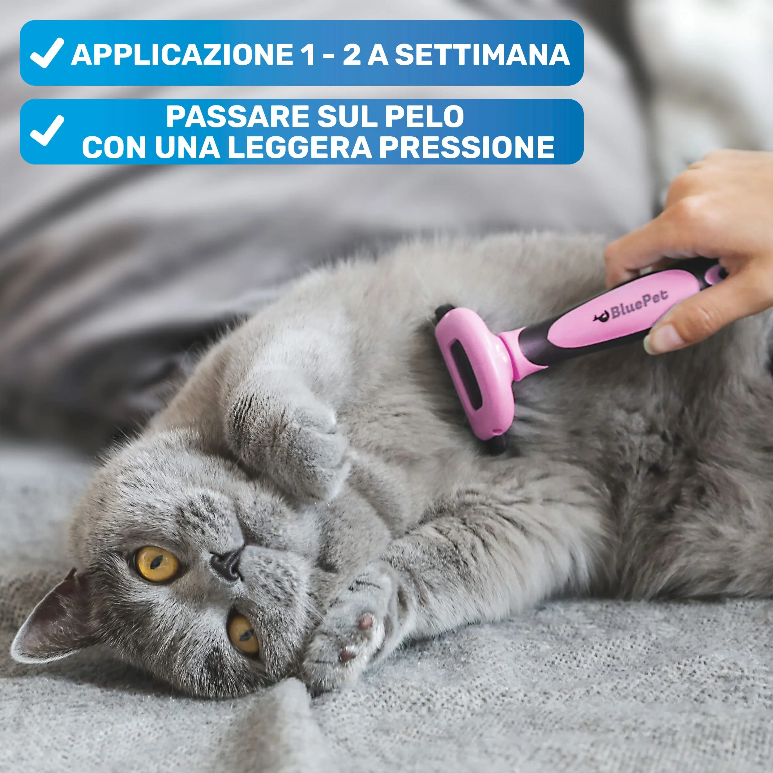 BluePet Spazzola per Cani e Gatti Pelo Corto, Pettine del Sottopelo - immagine 4
